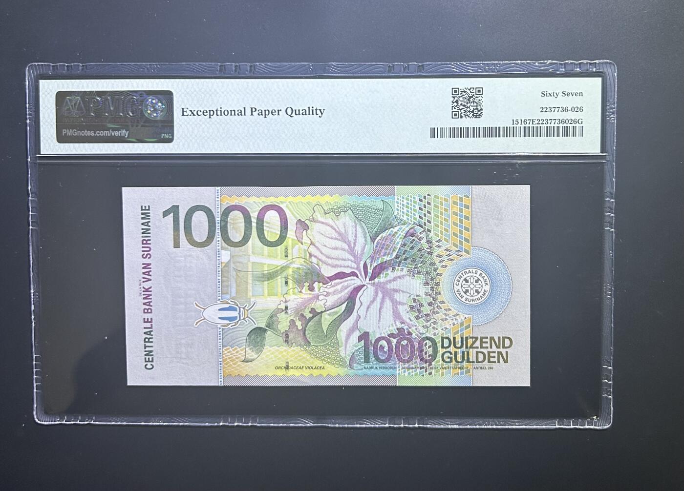 【丑猫0727】今晚六点半，自动快拍 苏里南1000