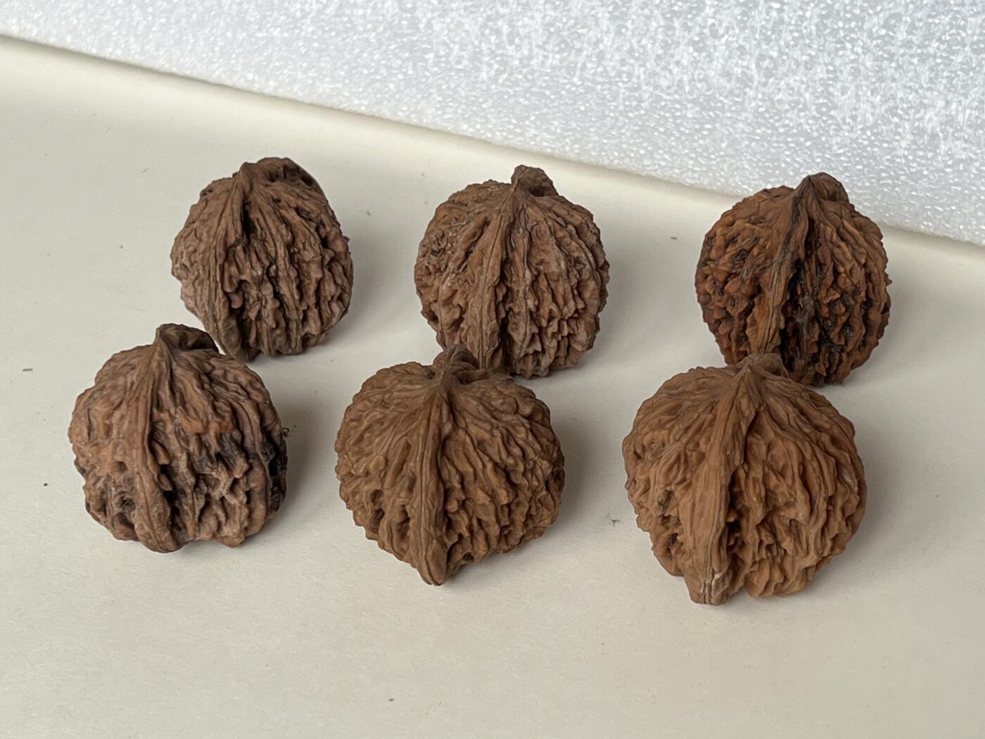 零元拍：自家下树的文玩核桃四座楼狮子头，自家树的果子，六个一起拍，以实物为准。没有做深度清理。