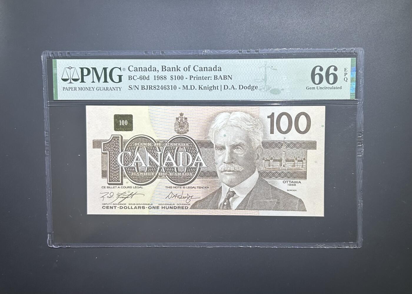 【丑猫0727】今晚六点半，自动快拍 加拿大大雁100