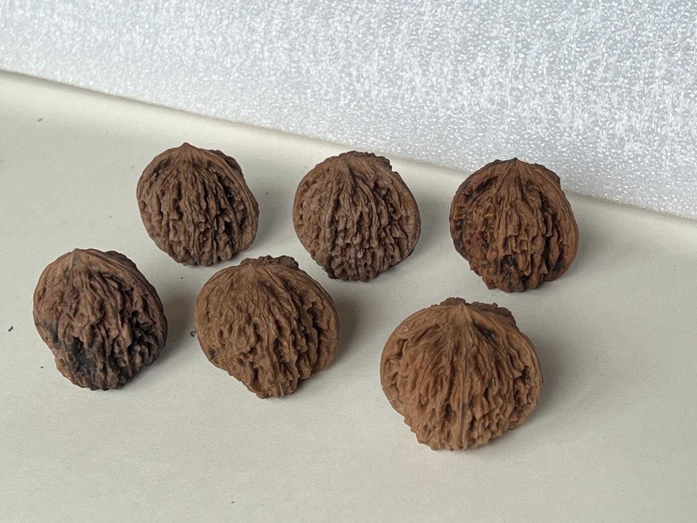 零元拍：自家下树的文玩核桃四座楼狮子头，自家树的果子，六个一起拍，以实物为准。没有做深度清理。