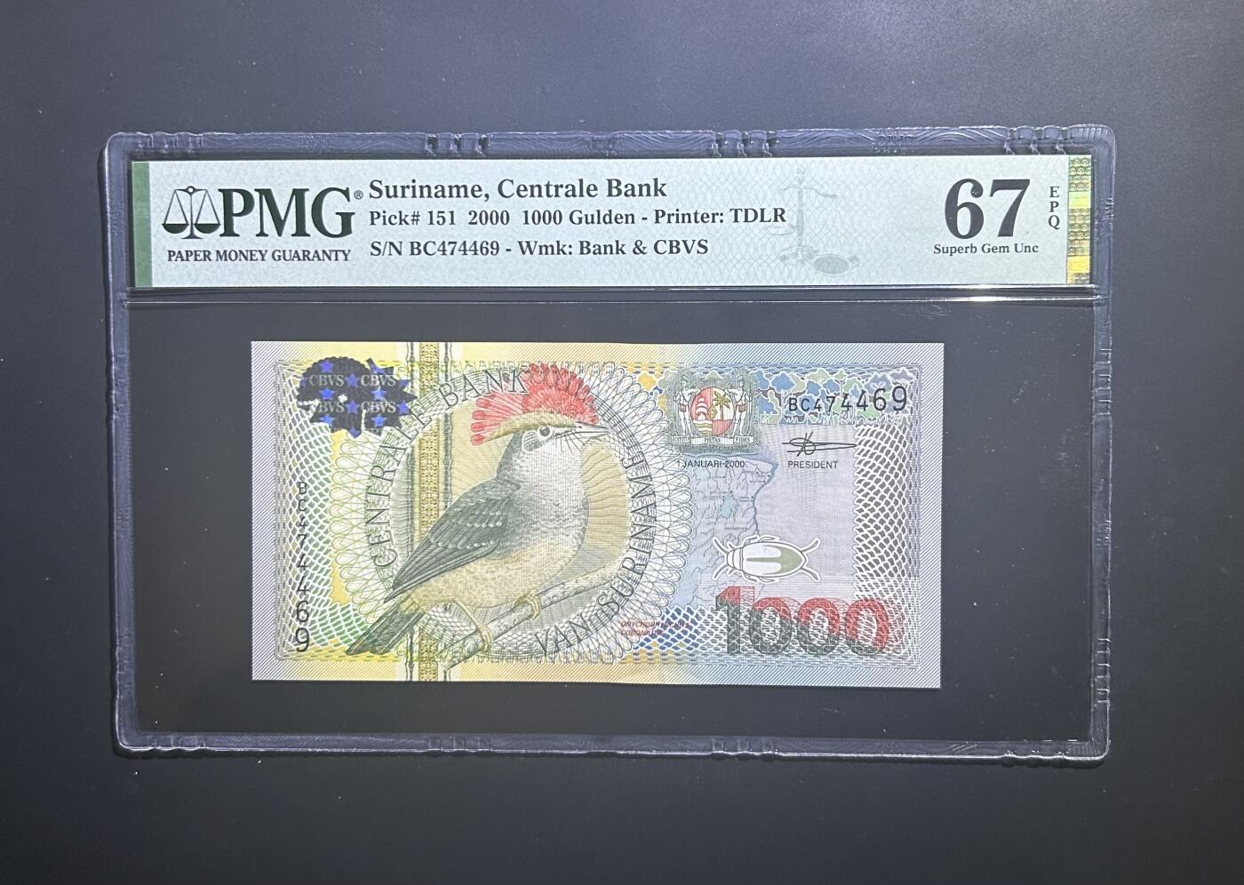 【丑猫0727】今晚六点半，自动快拍 苏里南1000