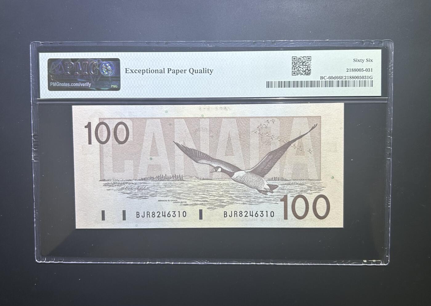 【丑猫0727】今晚六点半，自动快拍 加拿大大雁100