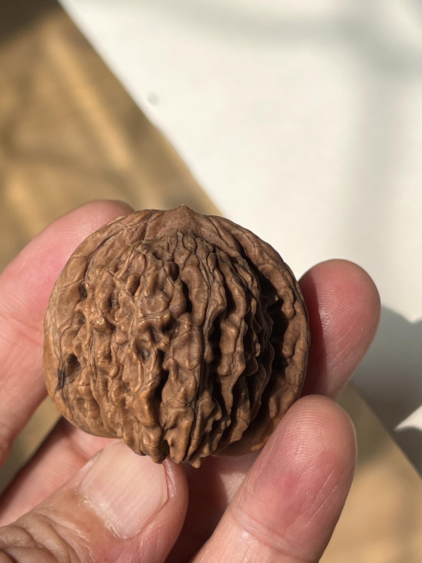 零元拍：自家下树的文玩核桃四座楼狮子头，自家树的果子，六个一起拍，以实物为准。没有做深度清理。