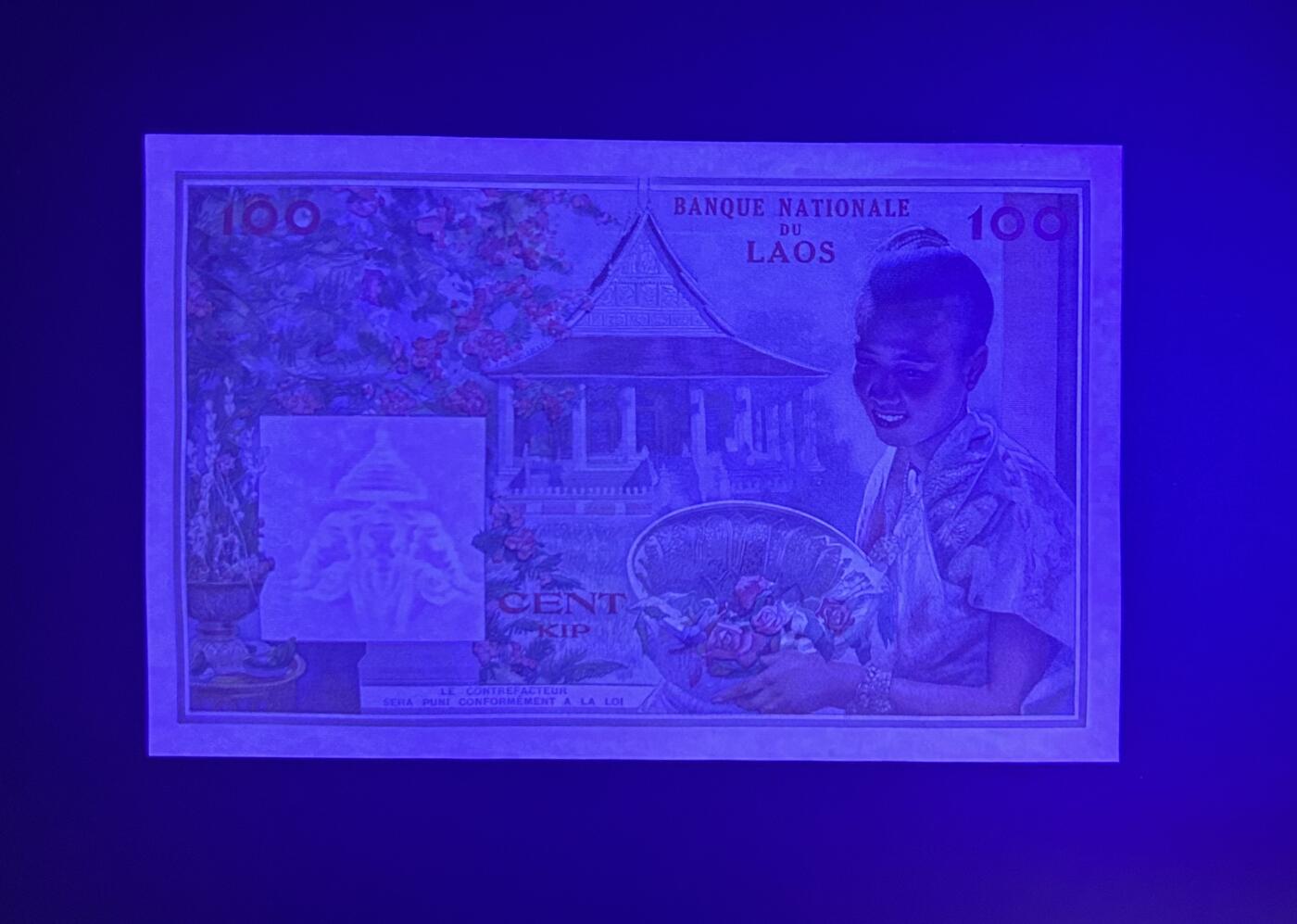 【丑猫0727】今晚六点半，自动快拍 缅甸猪哥unc(19685)