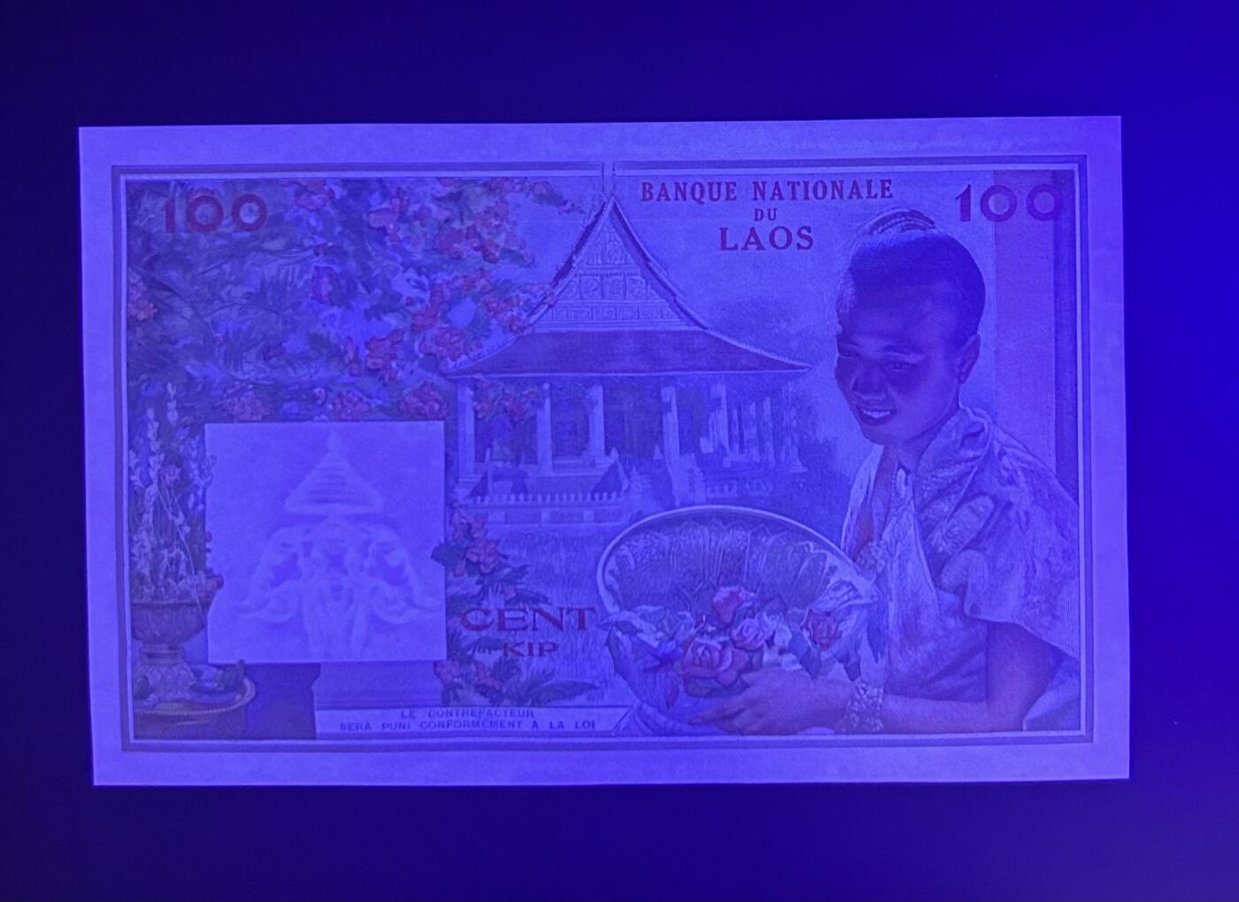 【丑猫0727】今晚六点半，自动快拍 缅甸猪哥unc(19686)