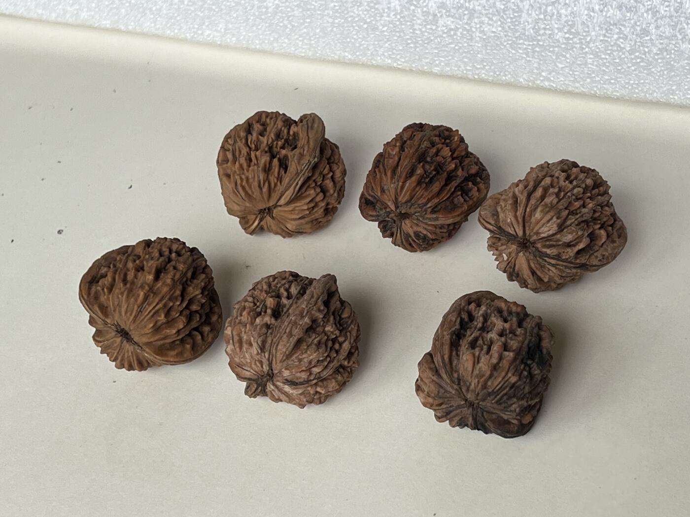 零元拍：自家下树的文玩核桃四座楼狮子头，自家树的果子，六个一起拍，以实物为准。没有做深度清理。