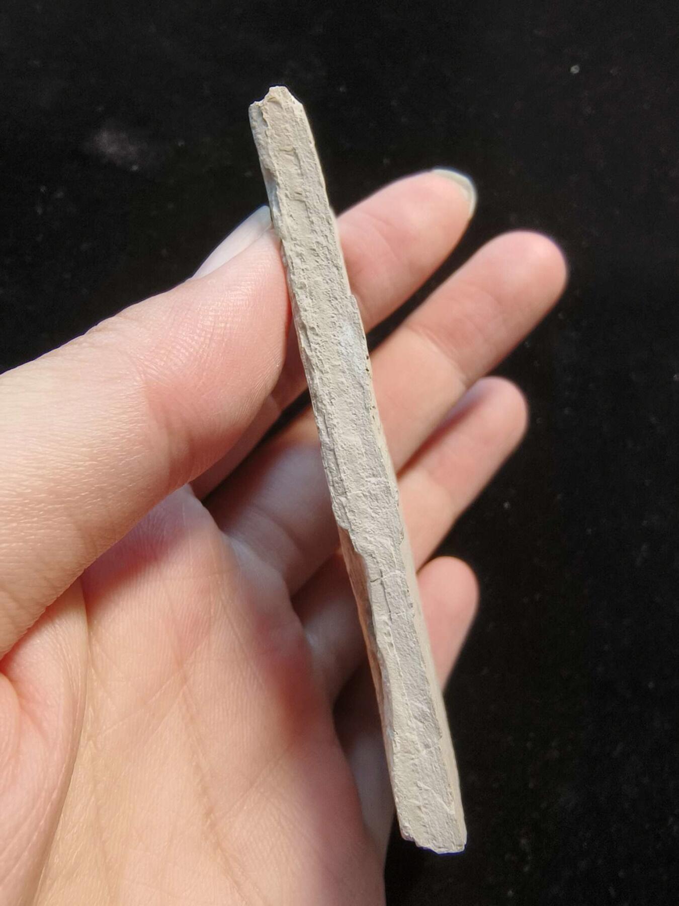 七河·世界钱币小拍（总第15期）
