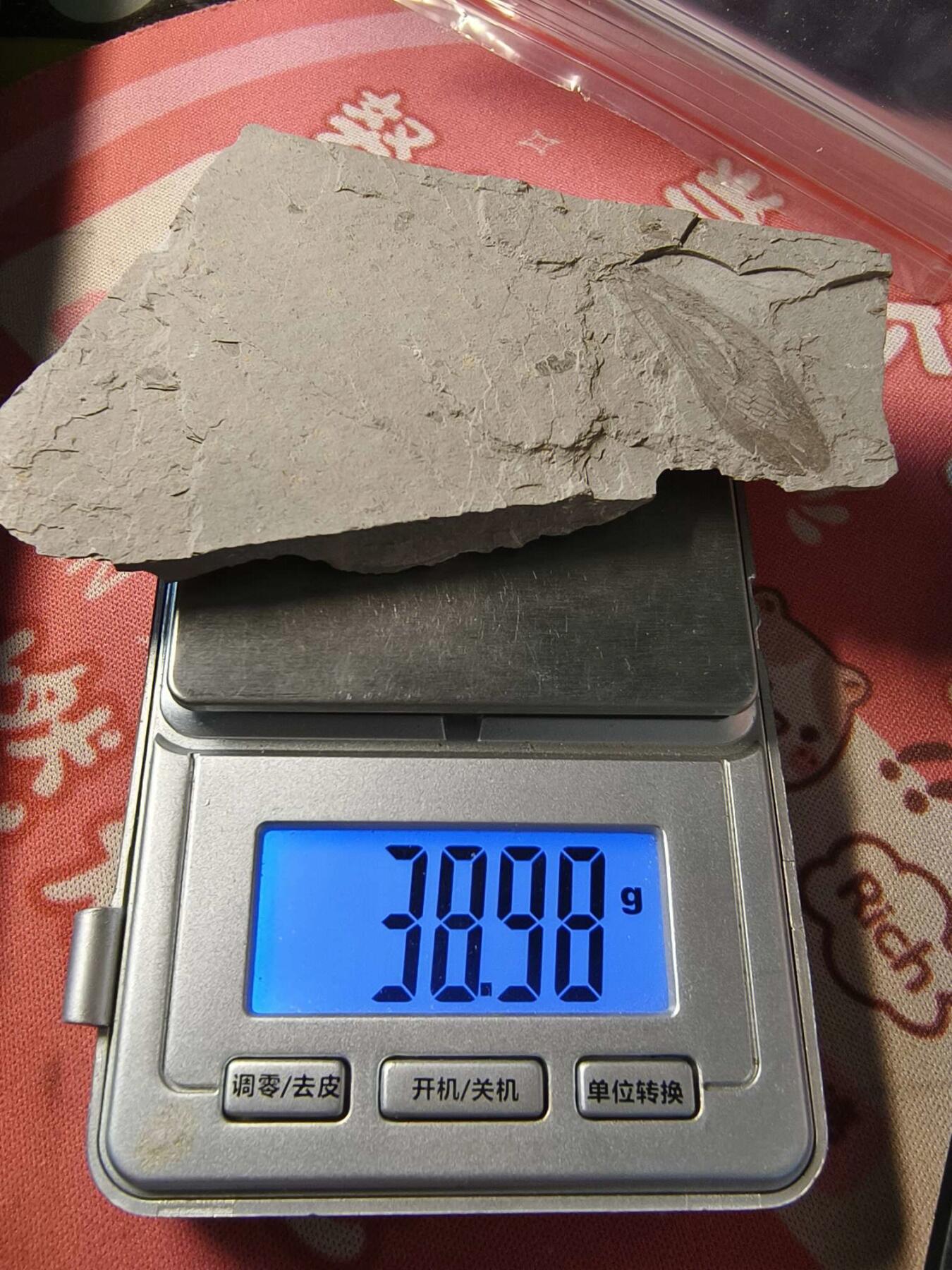 七河·世界钱币小拍（总第15期）