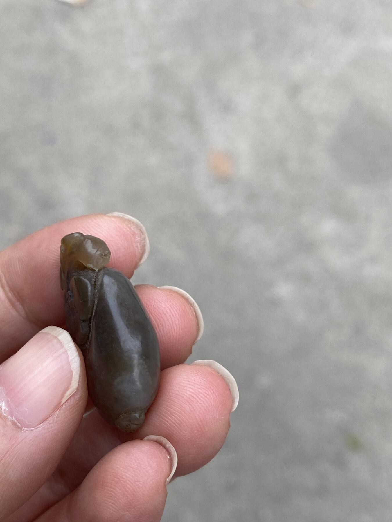 老玉多子多福挂件，尺寸2.6*1.7厘米，品相如图，150包快递