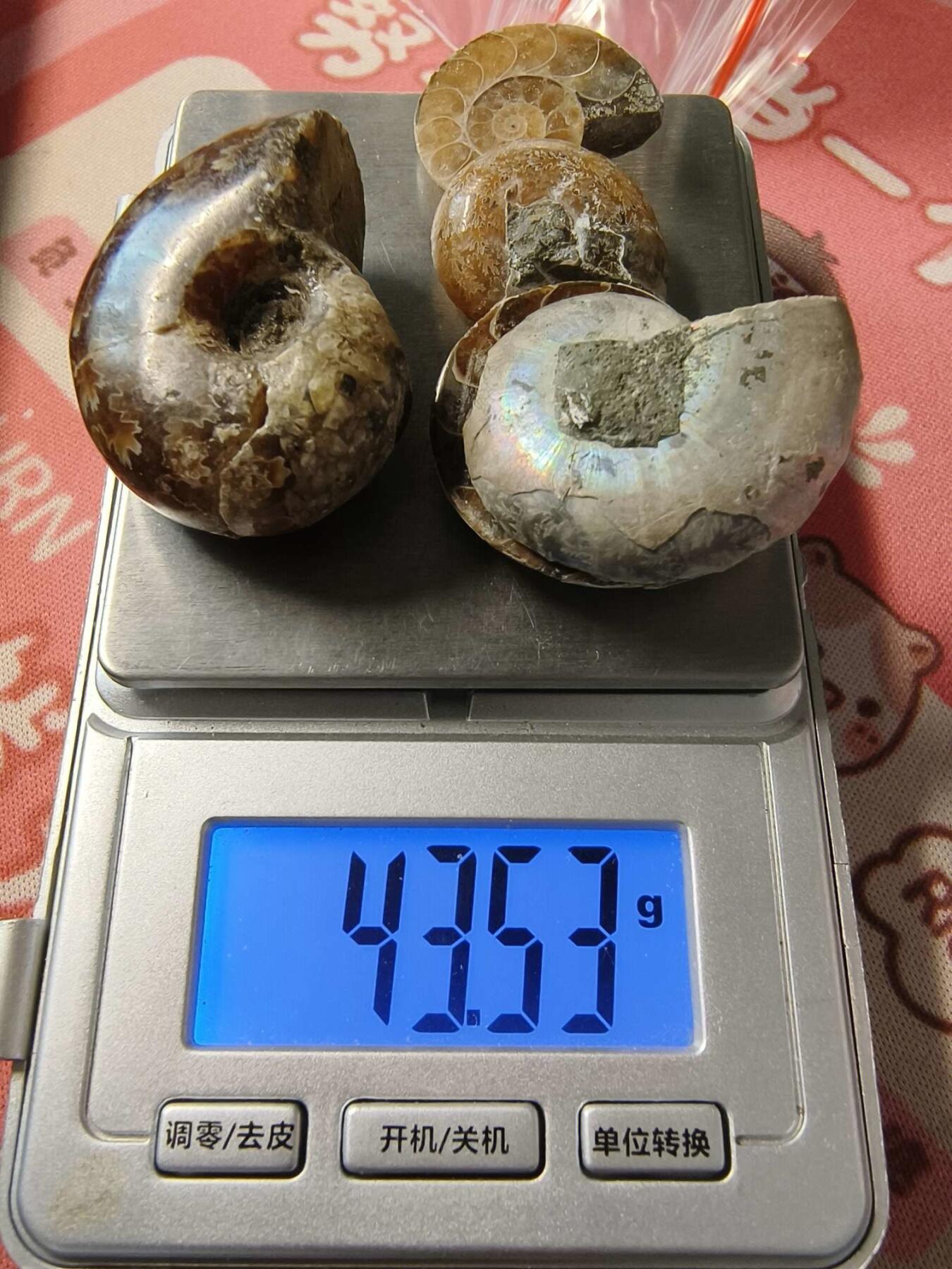 七河·世界钱币小拍（总第15期）