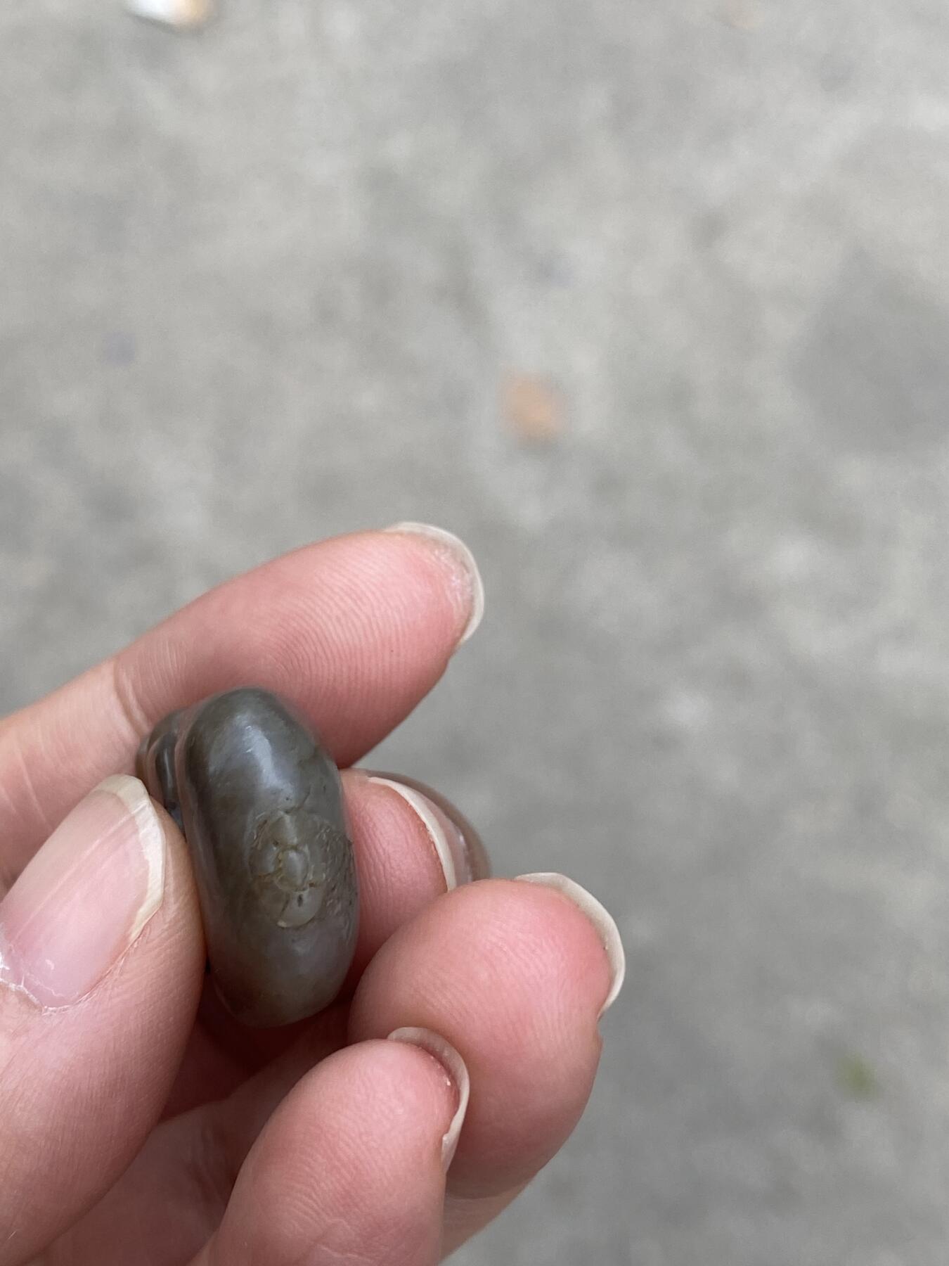 老玉多子多福挂件，尺寸2.6*1.7厘米，品相如图，150包快递