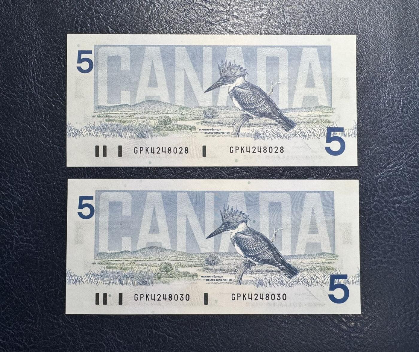 收藏联盟Quantum Auction 第362期拍卖 