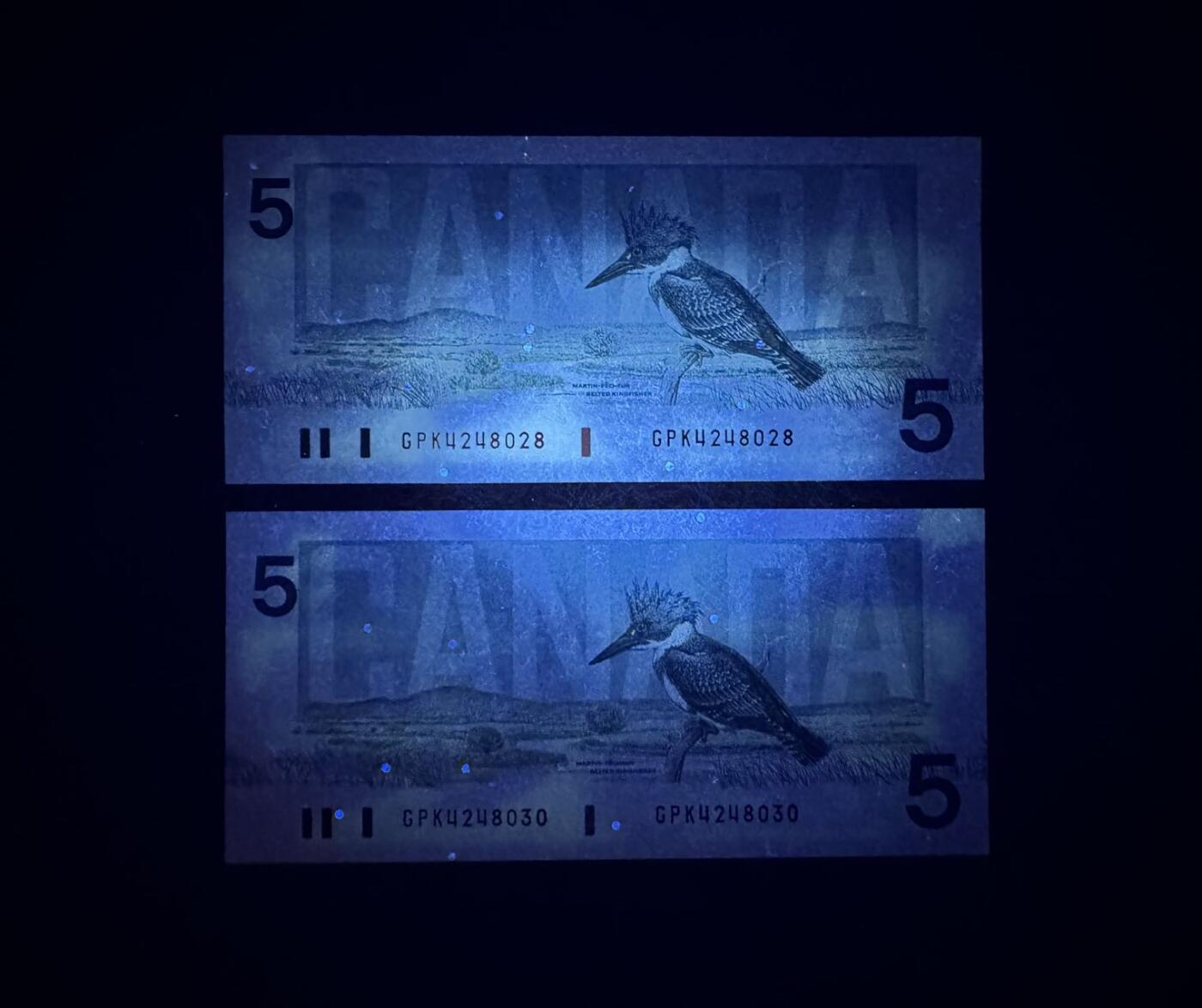 收藏联盟Quantum Auction 第362期拍卖 