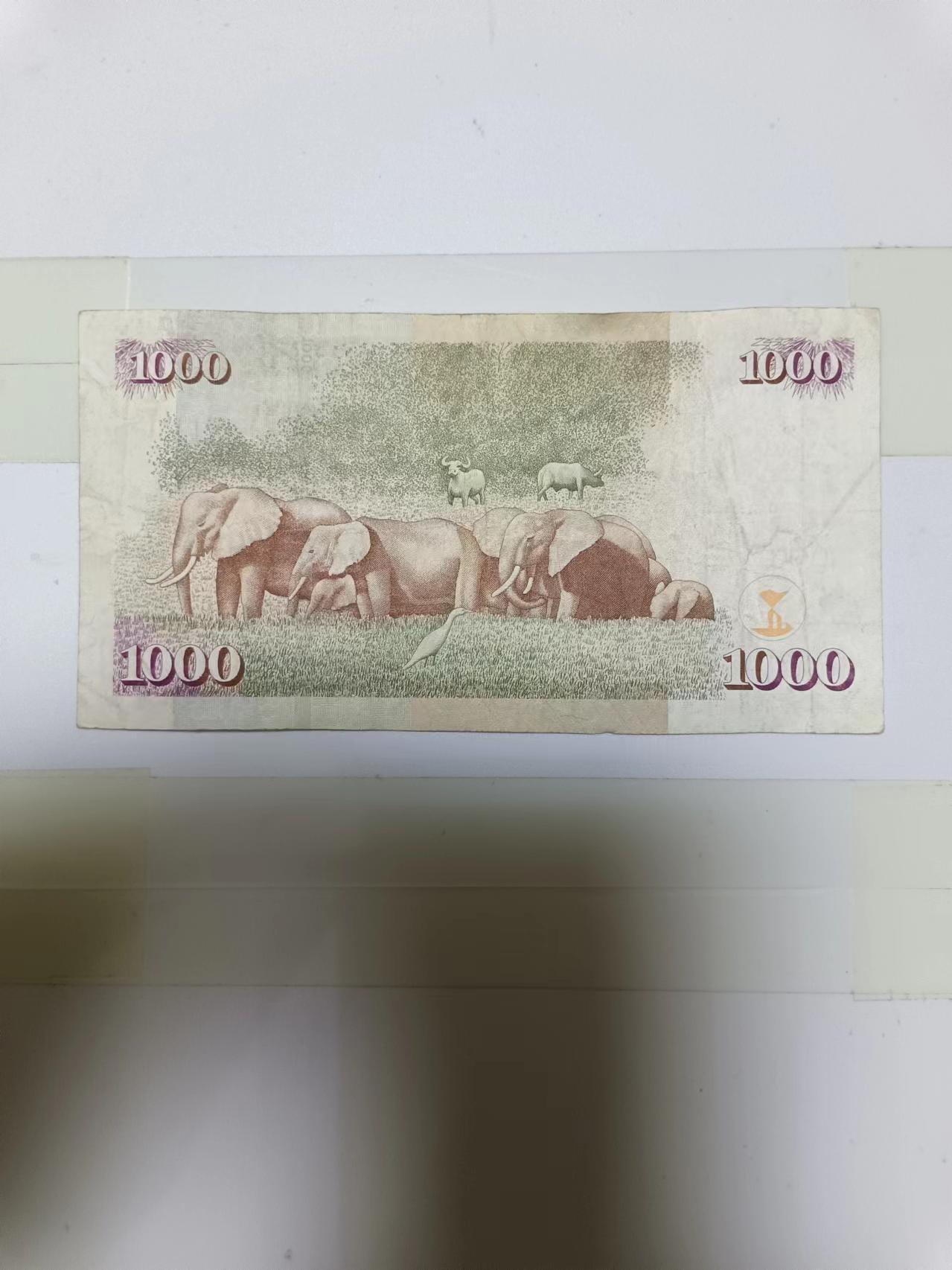 【20240724】非全新纸币第152场 肯尼亚1000先令，尾号512