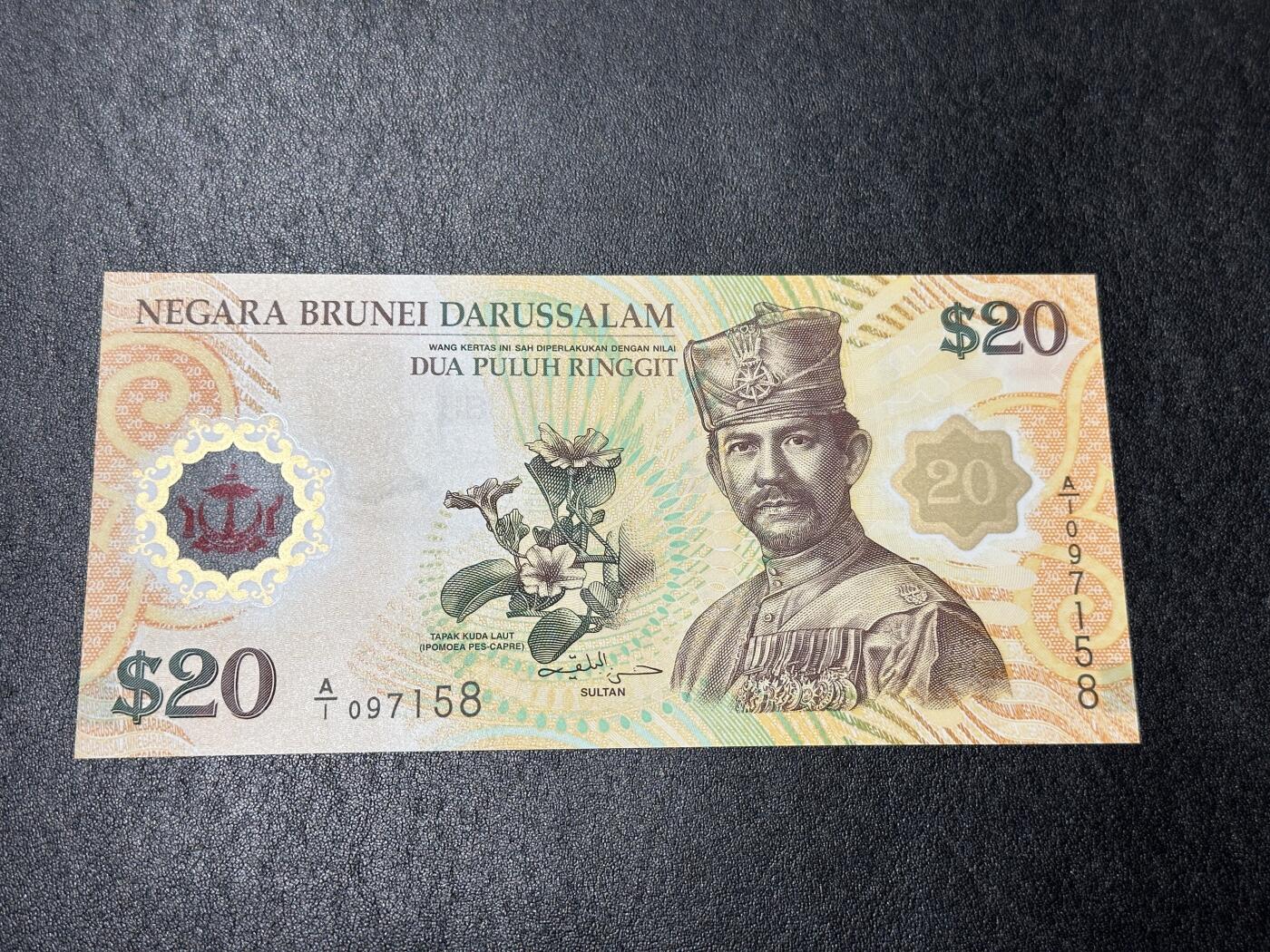 《外钞收藏家》第三百九十四期 2007年文莱20 纪念钞 A/1首冠 全新UNC