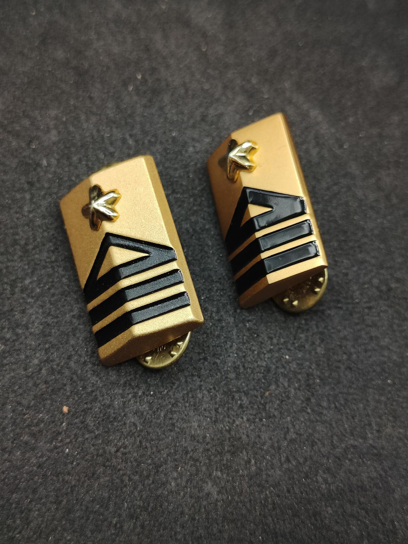 全场0元起拍 第176期 咸鱼国勋章拍卖专场 7月24日（周三）下午6：00开始 陆自陆曹领章