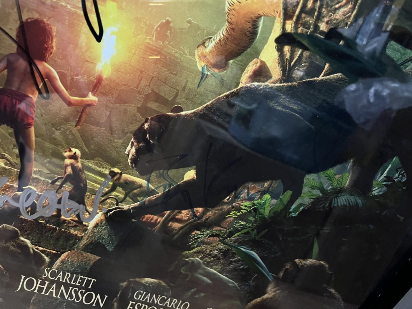 零元拍：《奇幻森林》美版REALD 3D AND IMAX 3D双面全开大海报，由导演：乔恩·费儒，主演：森林小王子 尼尔·塞西，配音演员有：老虎谢利-可汗的配音：伊德里斯·艾尔巴，黑豹巴希拉的配音：本·金斯利，母狼拉克沙的配音：露皮塔·尼永奥，共5人亲笔签名，全部美国印刷美国带回。装裱尺寸：1025X710MM