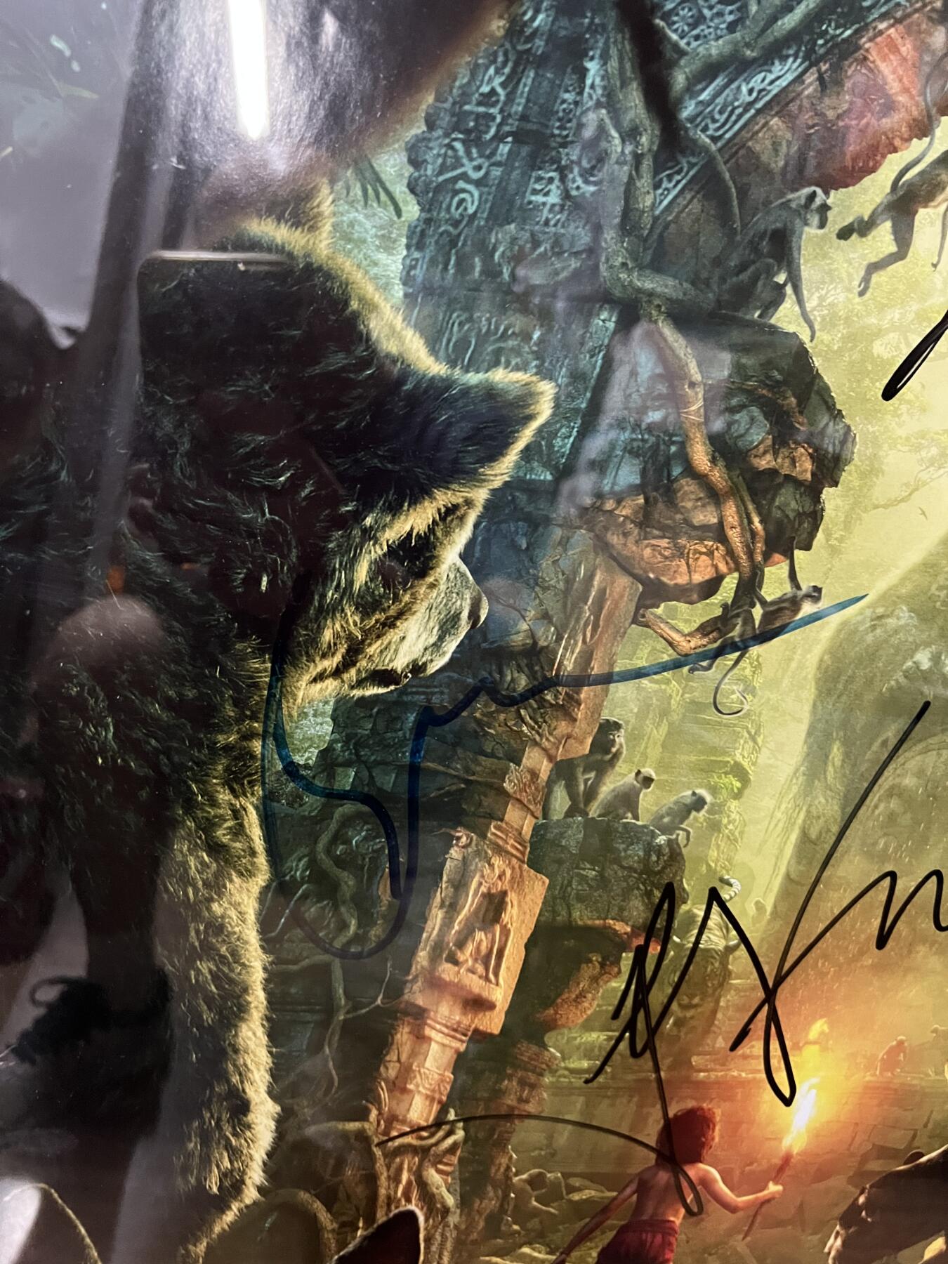 零元拍：《奇幻森林》美版REALD 3D AND IMAX 3D双面全开大海报，由导演：乔恩·费儒，主演：森林小王子 尼尔·塞西，配音演员有：老虎谢利-可汗的配音：伊德里斯·艾尔巴，黑豹巴希拉的配音：本·金斯利，母狼拉克沙的配音：露皮塔·尼永奥，共5人亲笔签名，全部美国印刷美国带回。装裱尺寸：1025X710MM