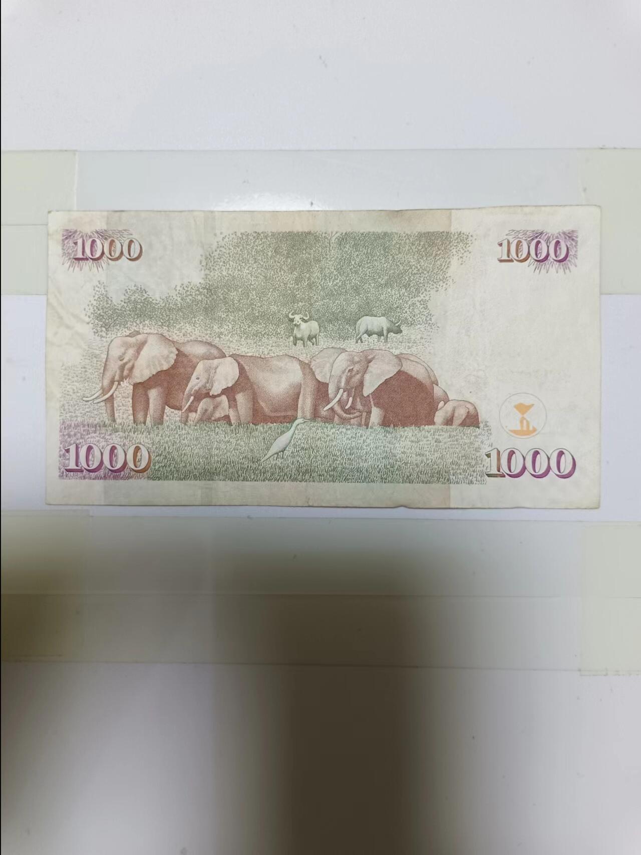【20240724】非全新纸币第152场 肯尼亚1000先令，尾号663