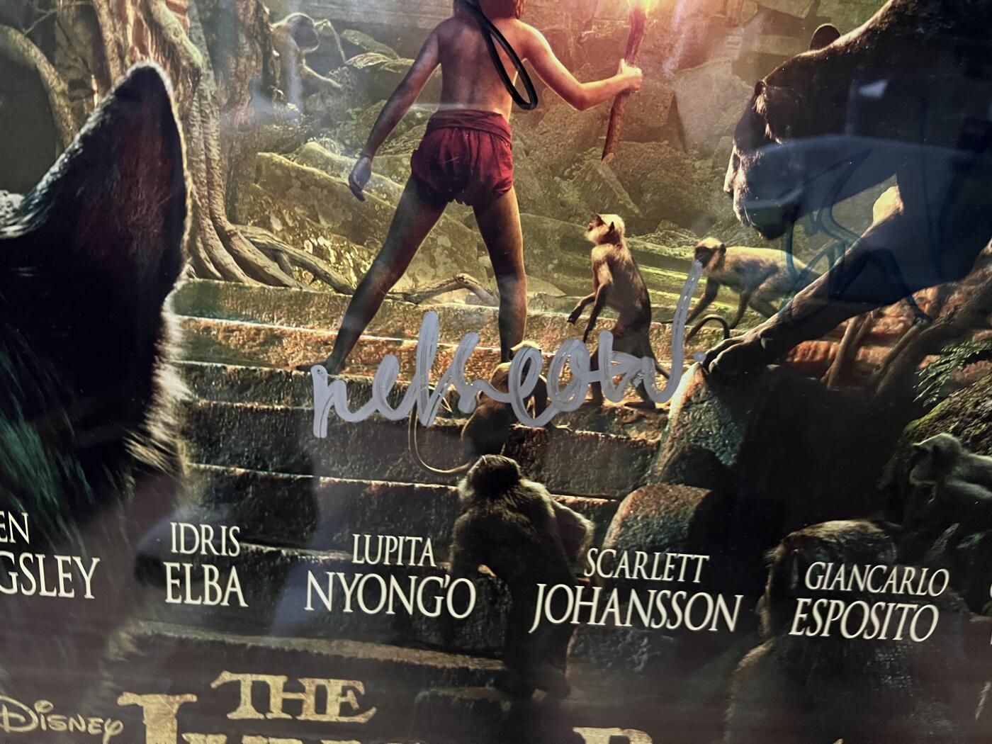 零元拍：《奇幻森林》美版REALD 3D AND IMAX 3D双面全开大海报，由导演：乔恩·费儒，主演：森林小王子 尼尔·塞西，配音演员有：老虎谢利-可汗的配音：伊德里斯·艾尔巴，黑豹巴希拉的配音：本·金斯利，母狼拉克沙的配音：露皮塔·尼永奥，共5人亲笔签名，全部美国印刷美国带回。装裱尺寸：1025X710MM