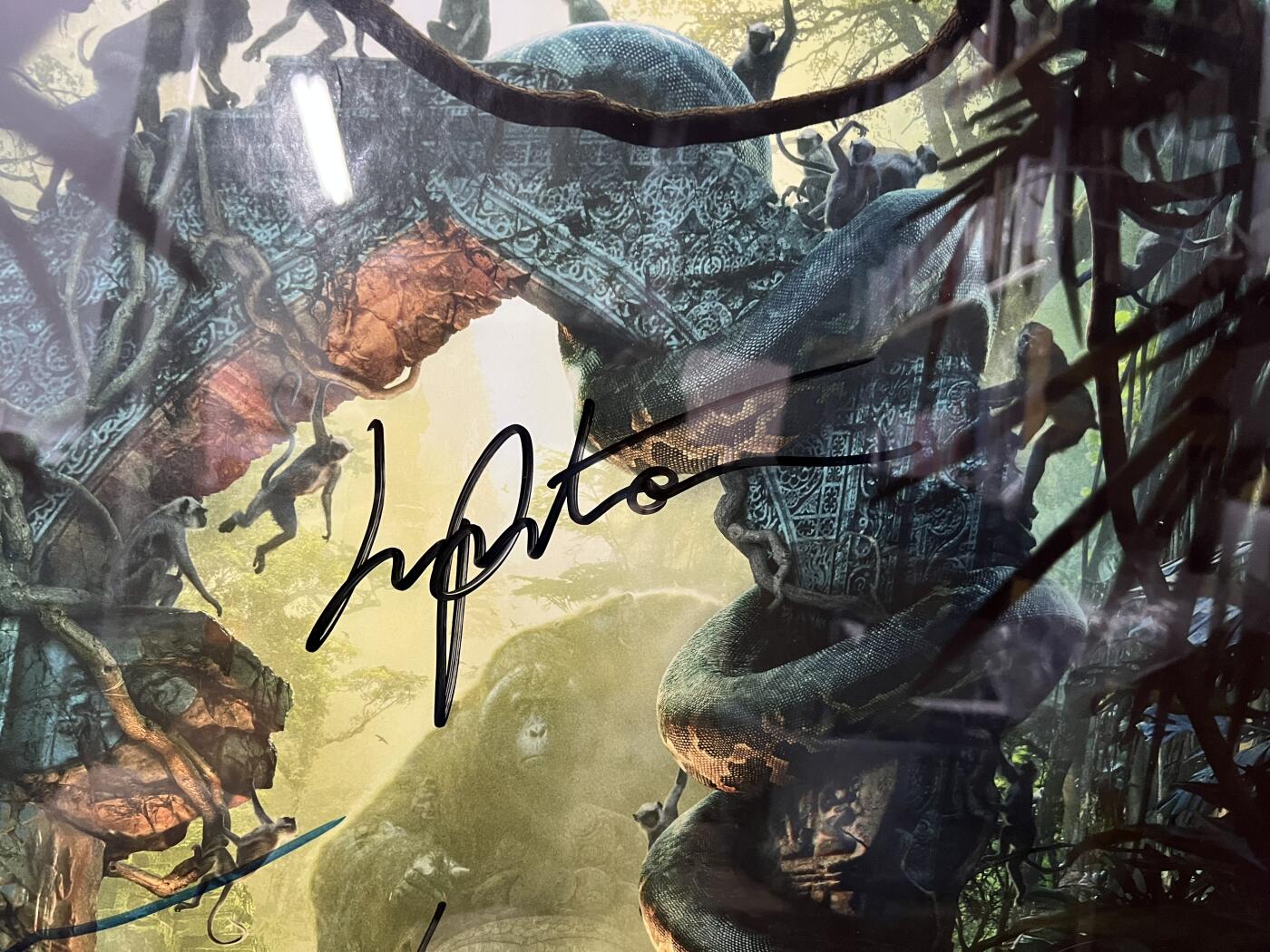 零元拍：《奇幻森林》美版REALD 3D AND IMAX 3D双面全开大海报，由导演：乔恩·费儒，主演：森林小王子 尼尔·塞西，配音演员有：老虎谢利-可汗的配音：伊德里斯·艾尔巴，黑豹巴希拉的配音：本·金斯利，母狼拉克沙的配音：露皮塔·尼永奥，共5人亲笔签名，全部美国印刷美国带回。装裱尺寸：1025X710MM