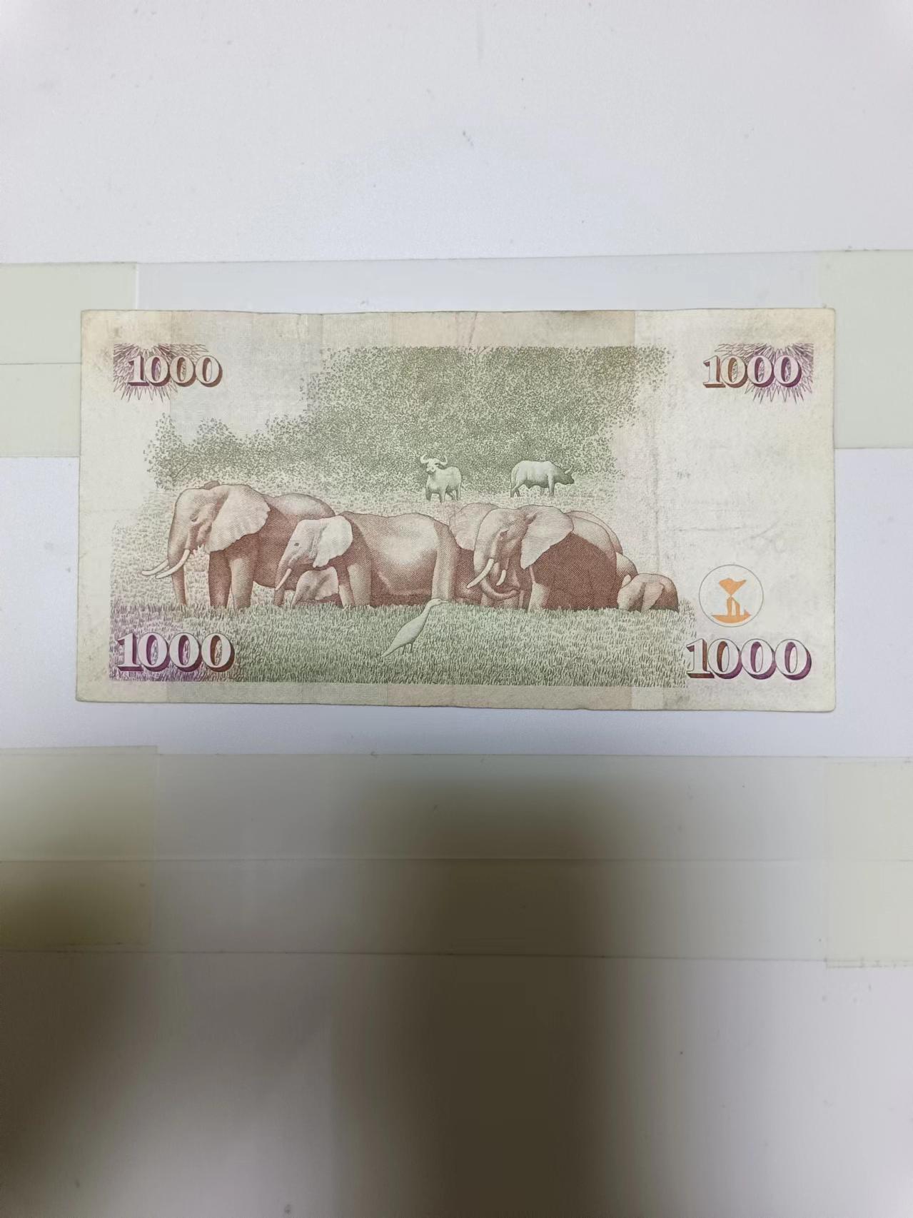 【20240724】非全新纸币第152场 肯尼亚1000先令，尾号383