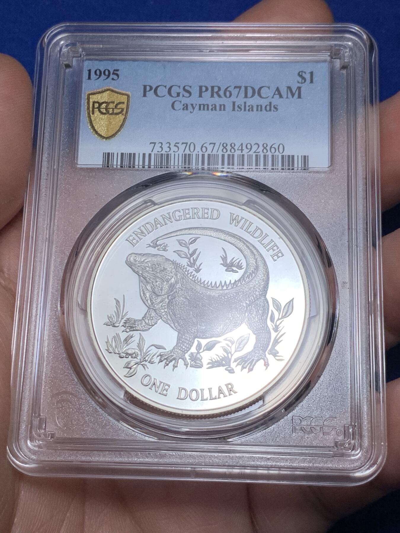 《竞宝斋》第289场- 周日，周一，周二 3场连拍 （全场包邮） 冠军分 PCGS PR67DCAM 开曼1995年世界濒危野生动物美洲大蜥蜴1元精制大银币