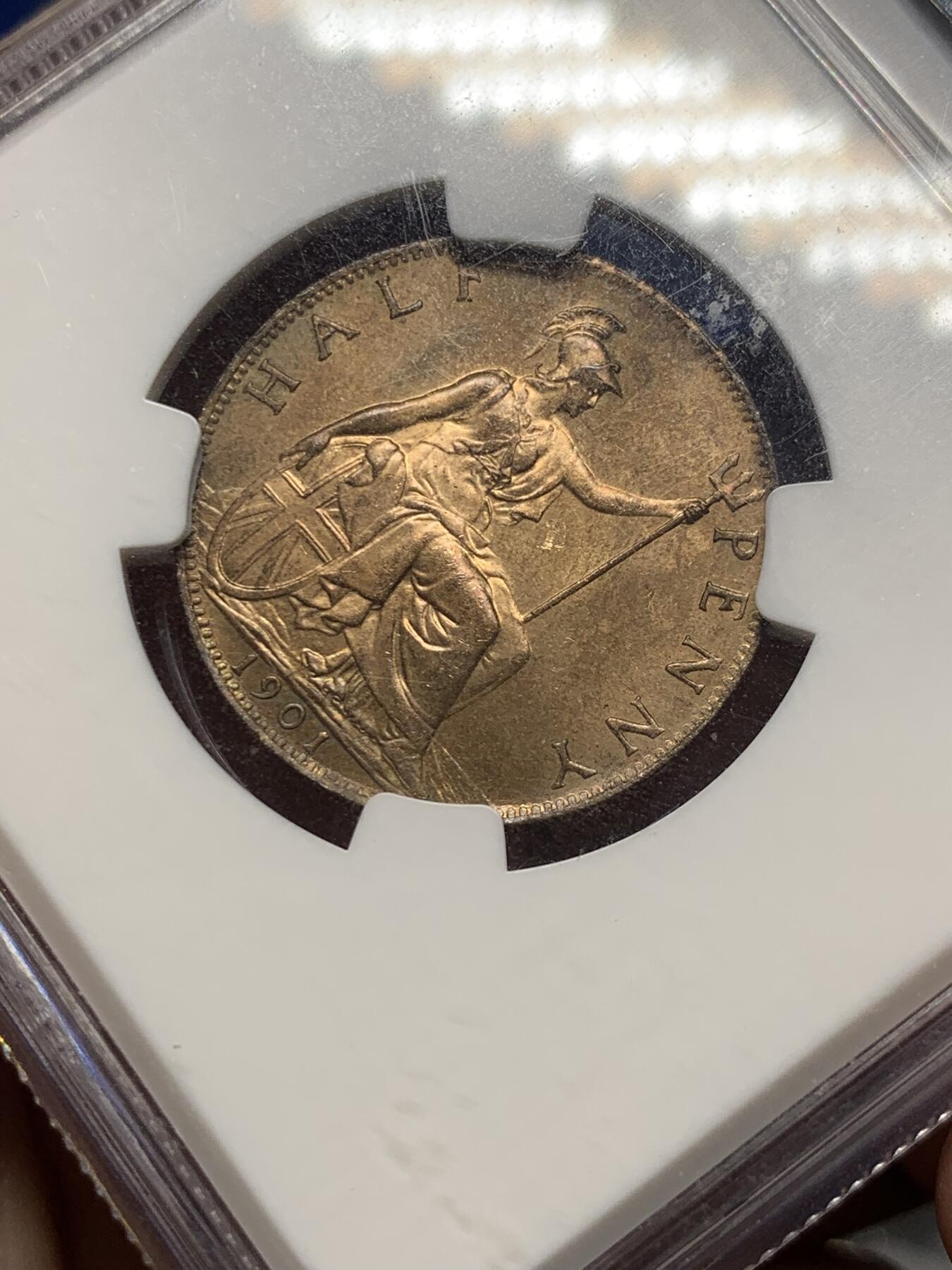 《竞宝斋》第289场- 周日，周一，周二 3场连拍 （全场包邮） NGC MS64RB 英国1901年 维多利亚半便士 老盒严评 底板丝滑转光强烈 市面上半便士比便士难遇到