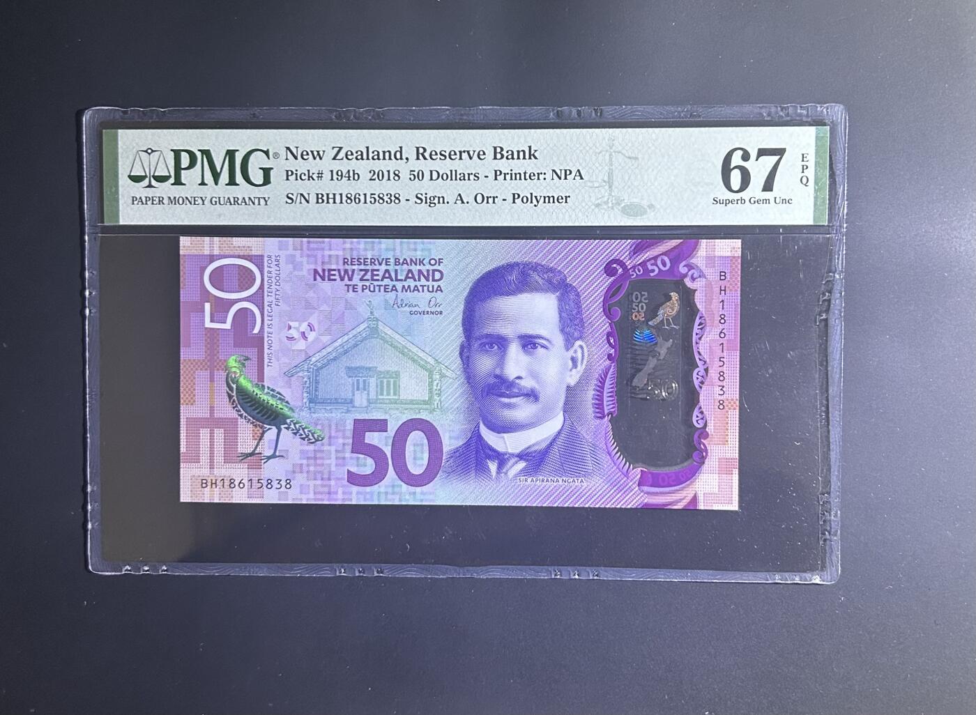 【丑猫0727】今晚六点半，自动快拍 新西兰50