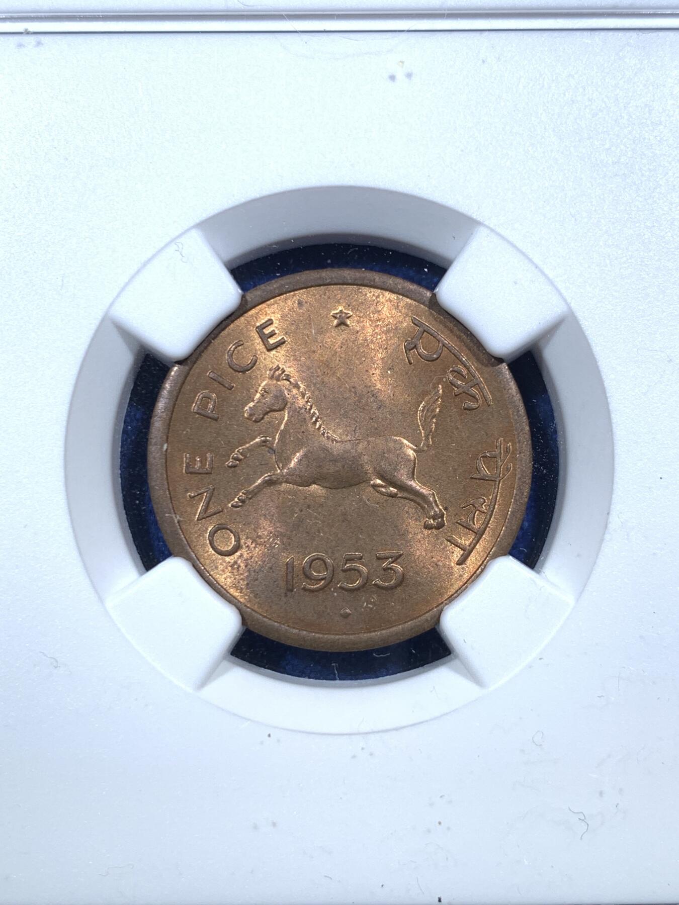 《竞宝斋》第289场- 周日，周一，周二 3场连拍 （全场包邮） NGC MS63RB 印度1953年小马1派沙铜币