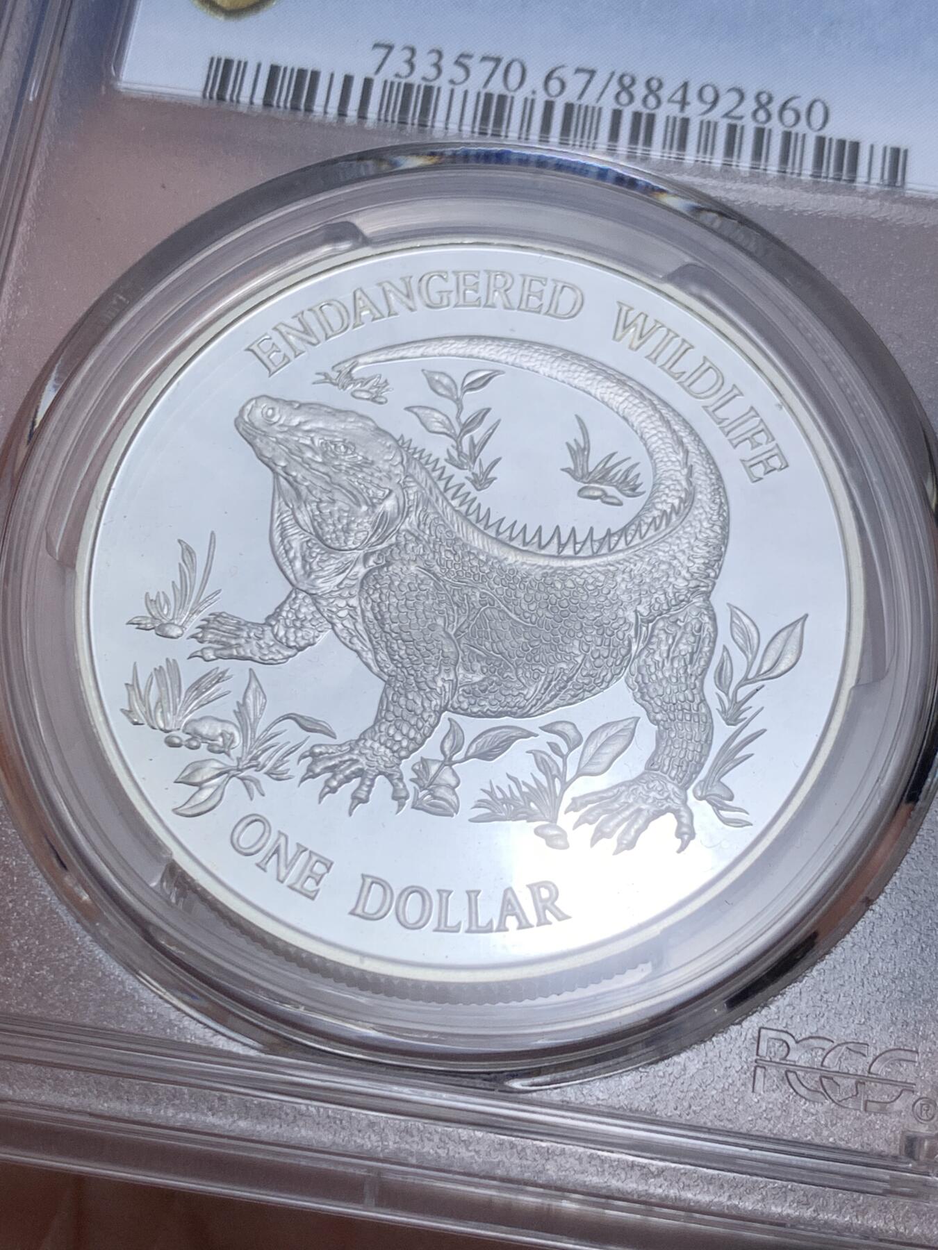 《竞宝斋》第289场- 周日，周一，周二 3场连拍 （全场包邮） 冠军分 PCGS PR67DCAM 开曼1995年世界濒危野生动物美洲大蜥蜴1元精制大银币