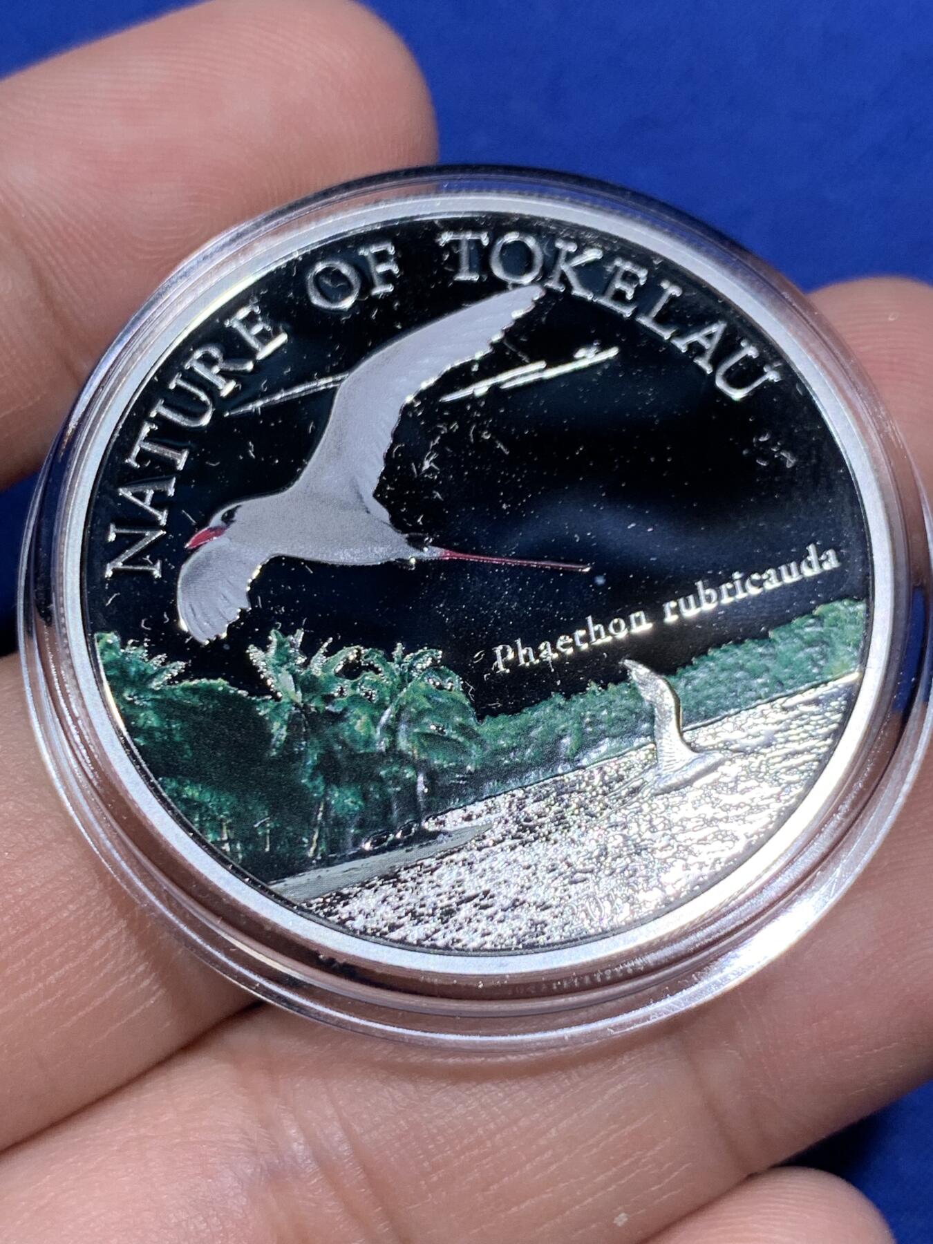 《竞宝斋》第290场- 周日，周一，周二 3场连拍 （全场包邮） 托克劳2012年红尾鹲托克劳自然系列5元银币 带证书