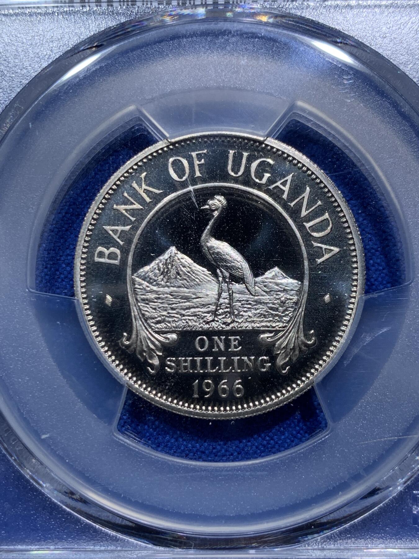 《竞宝斋》第290场- 周日，周一，周二 3场连拍 （全场包邮） PCGS金盾 PR67DCAM 乌干达1966年首年1先令精制镍币东非草原与乌干达国鸟灰冕鹤