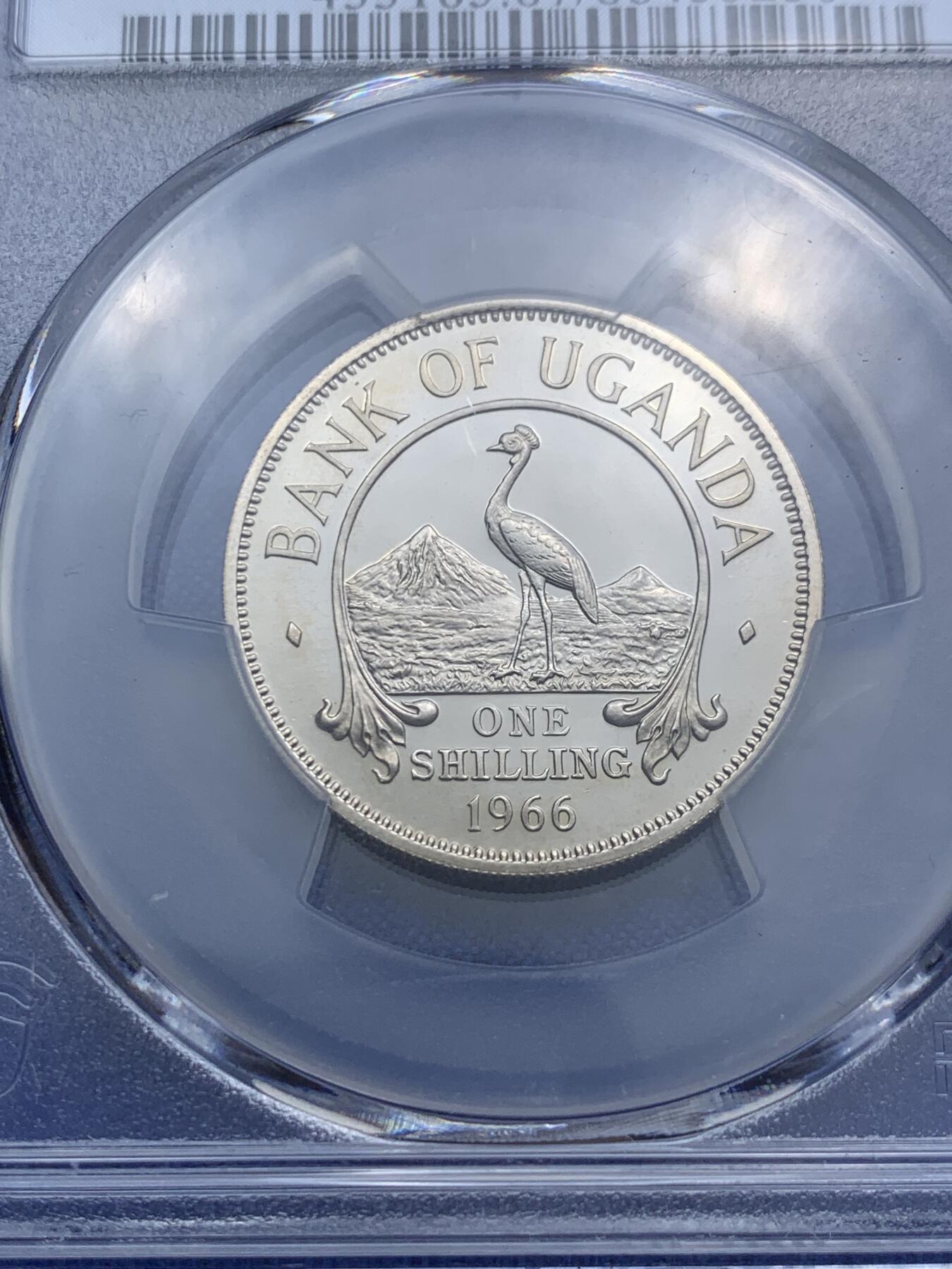 《竞宝斋》第290场- 周日，周一，周二 3场连拍 （全场包邮） PCGS金盾 PR67DCAM 乌干达1966年首年1先令精制镍币东非草原与乌干达国鸟灰冕鹤