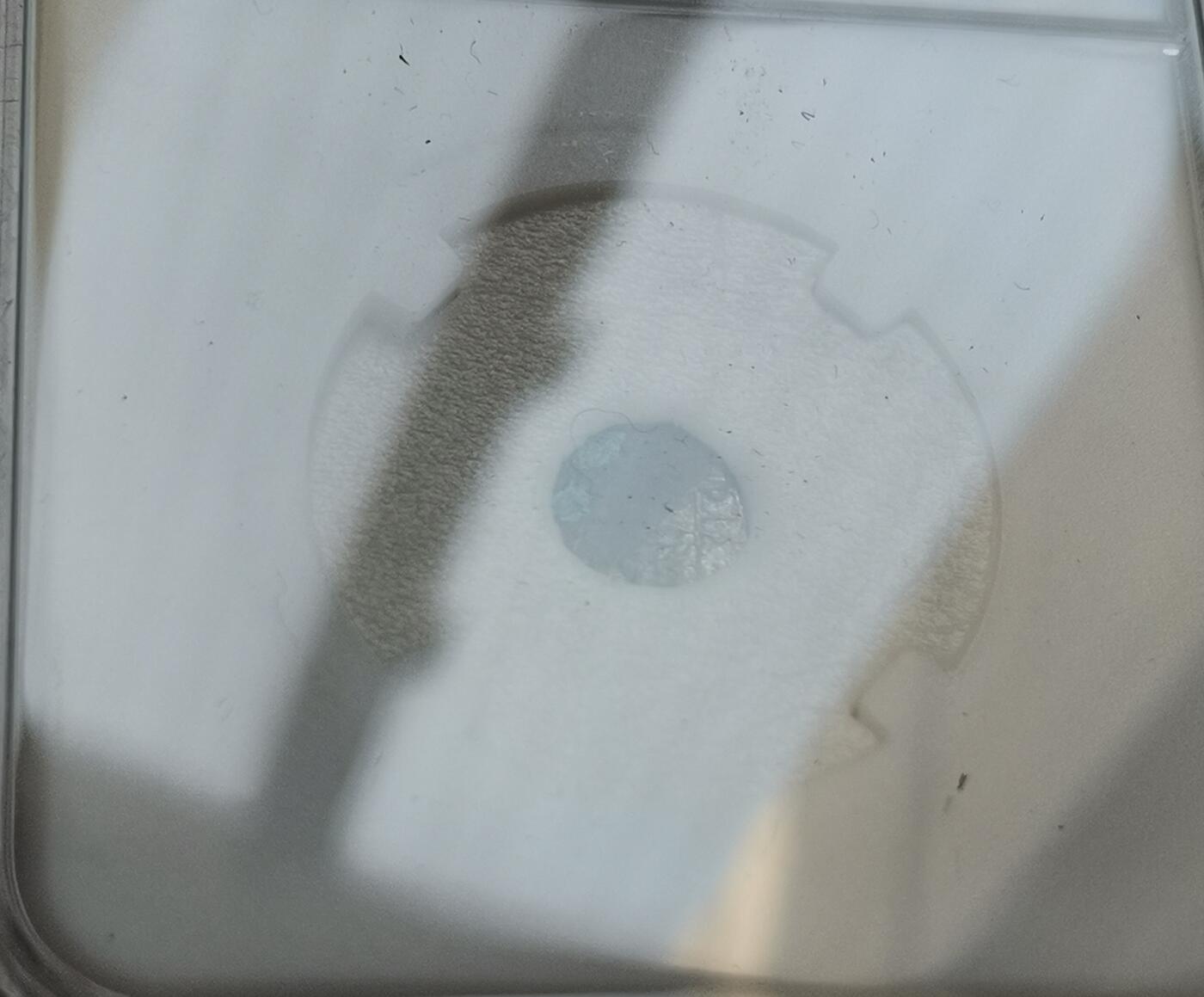 瓶子🏺第151期拍卖会  哥疾宁王朝马哈茂德 公元999-1030年 银达玛0.42g