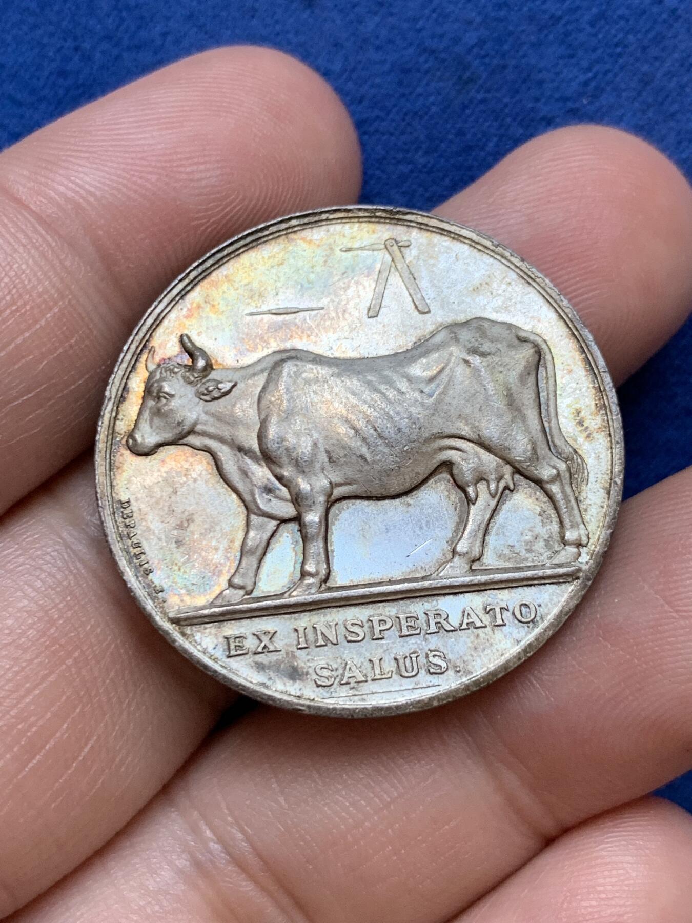 《竞宝斋》第291场- 周日，周一，周二 3场连拍 （全场包邮） 法国巴黎牛痘疫苗接种银章 直径32.4mm 16.17克 蜜蜂边铭