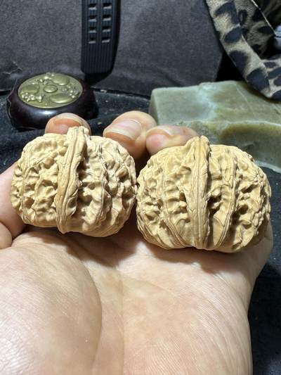 精美老树白狮子文玩核桃一对！ - 精美老树白狮子文玩核桃一对！