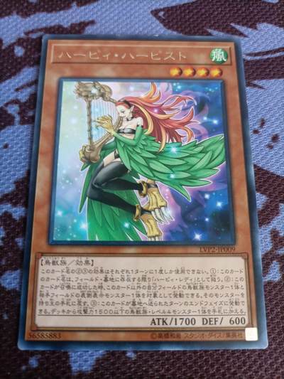 【游宝卡牌】龙年第45期 日版游戏王TCG收藏卡 周末场有重磅卡牌上线 - 神鹰女郎