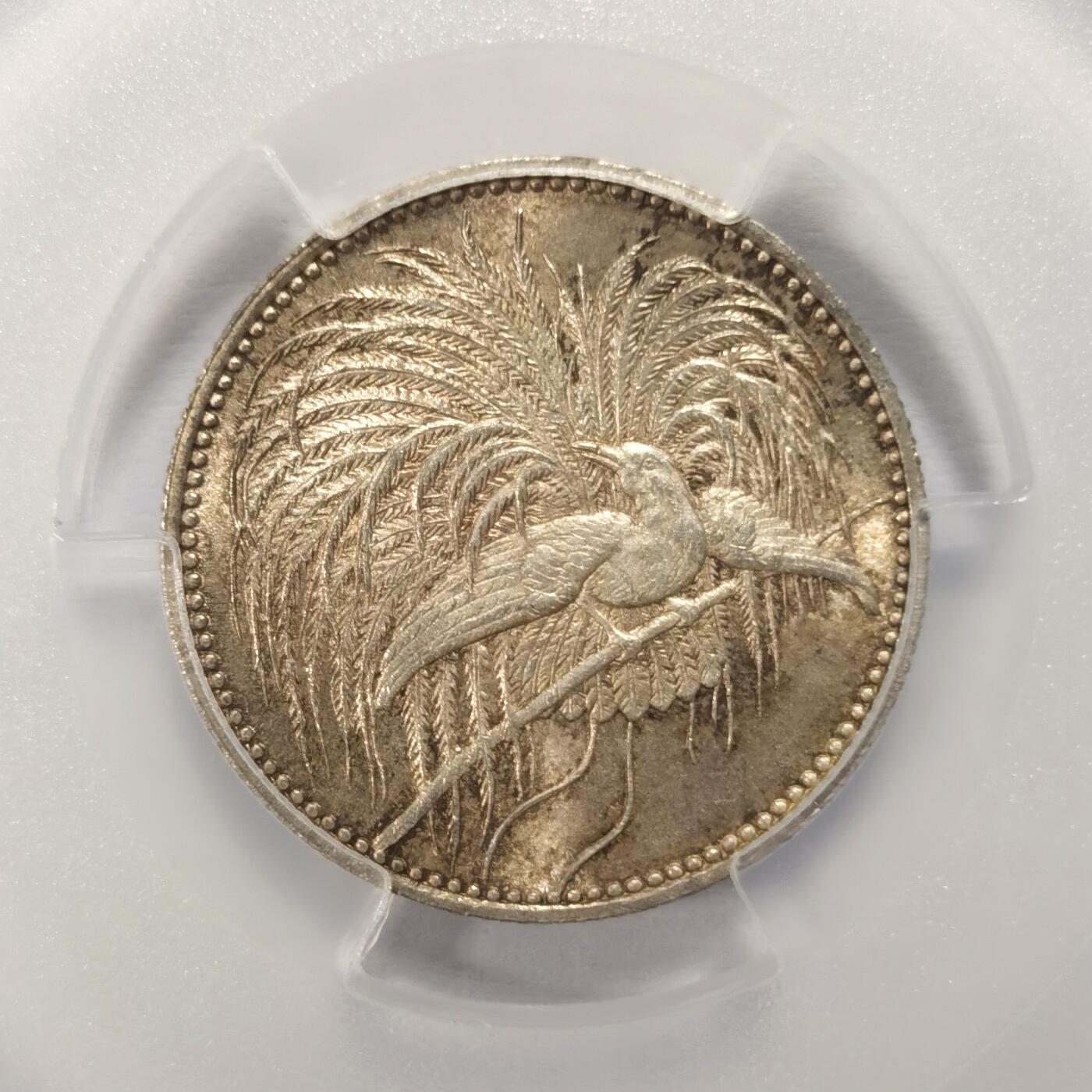 博洋堂“夏光旖旎”7月精品专场暨第085期（全场包邮） PCGS MS66 德属新几内亚1894年天堂鸟1/2马克 名誉品种 罕见超高分