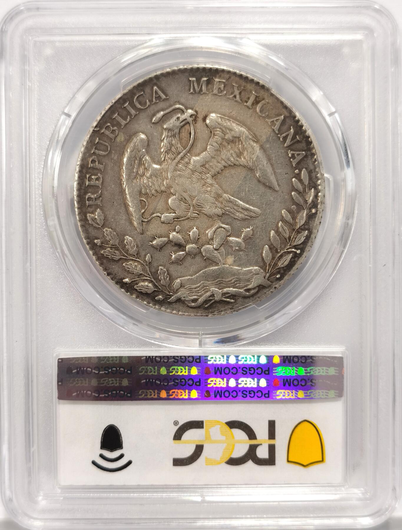 博洋堂“夏光旖旎”7月精品专场暨第085期（全场包邮） PCGS XF45 墨西哥1894年Go RS版花边鹰洋，原汁原味