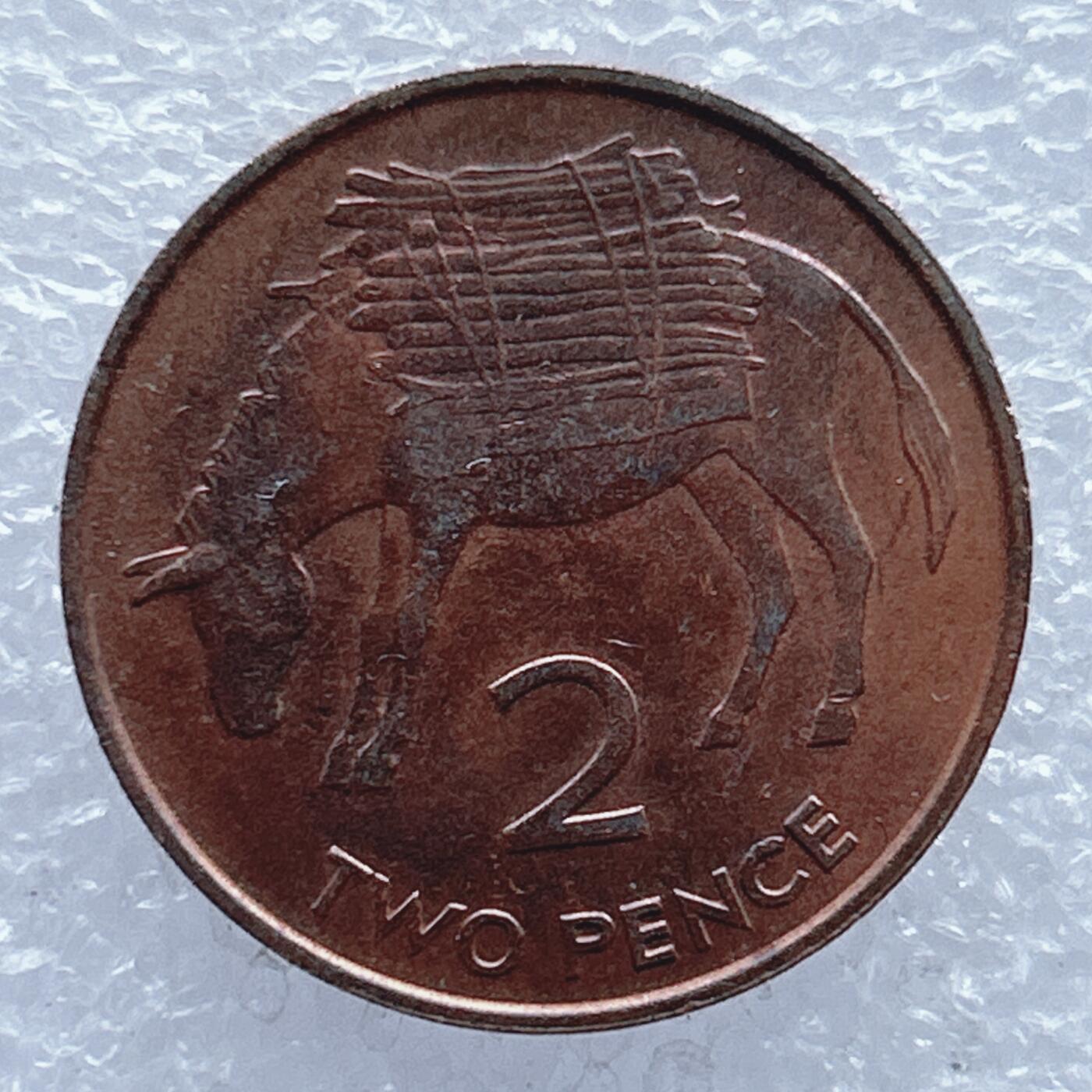 第一海外回流一元起拍收藏 散币专场 第104期 圣赫勒拿和阿森松1984年2便士