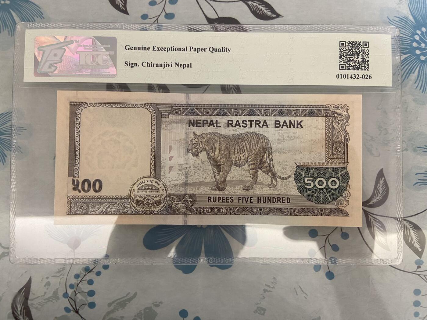 【炜奕收藏】第十期，评级币专场 2016年尼泊尔500卢比，TQG评级66E，豹子头