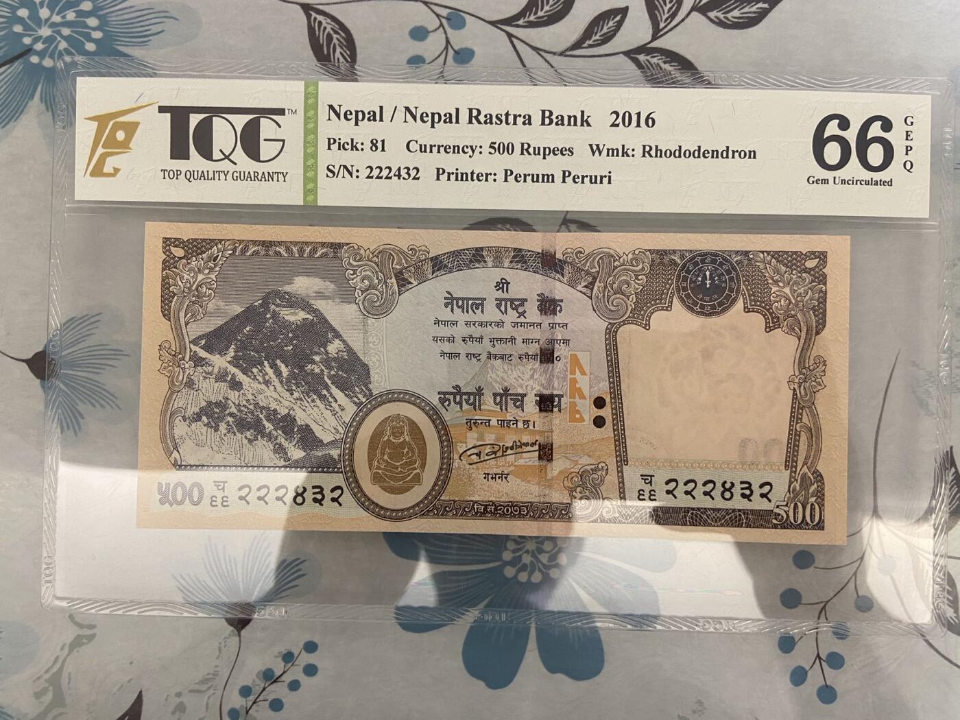 【炜奕收藏】第十期，评级币专场 2016年尼泊尔500卢比，TQG评级66E，豹子头