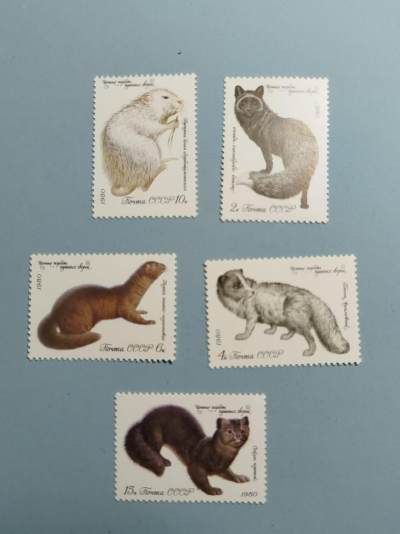 盛世勋华——号角文化勋章邮票专场拍卖第196期 - 苏联邮政1980年发行 5全新 毛皮动物