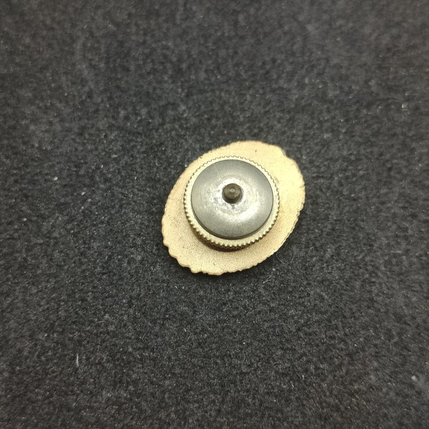 全场0元起拍 第178期 咸鱼国勋章拍卖专场 7月31日（周三）下午6：00开始 日本金级警察功劳章