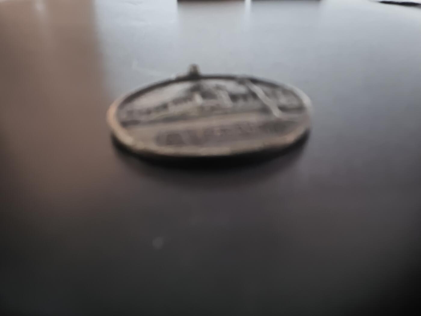 历代徽章28 帝国议事堂纪念章