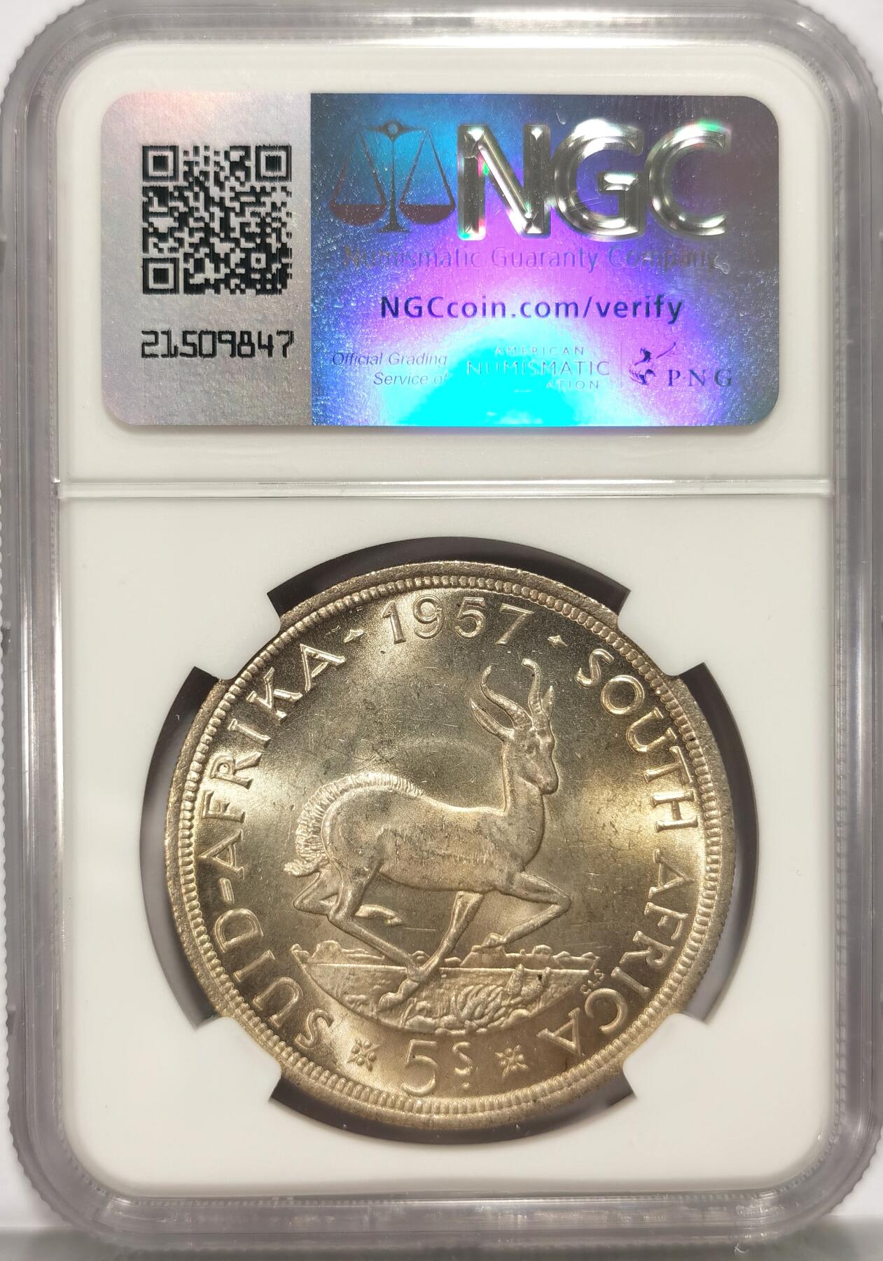 博洋堂世界钱币拍卖第086期（全场包邮） NGC MS63 英属南非1957年5先令大银