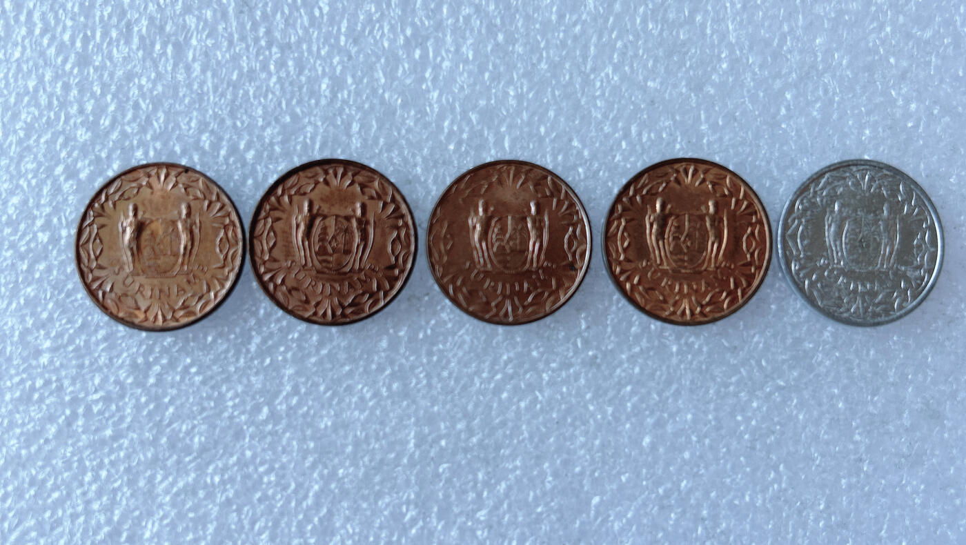 第一海外回流一元起拍收藏 散币专场 第105期 苏里南🇸🇷