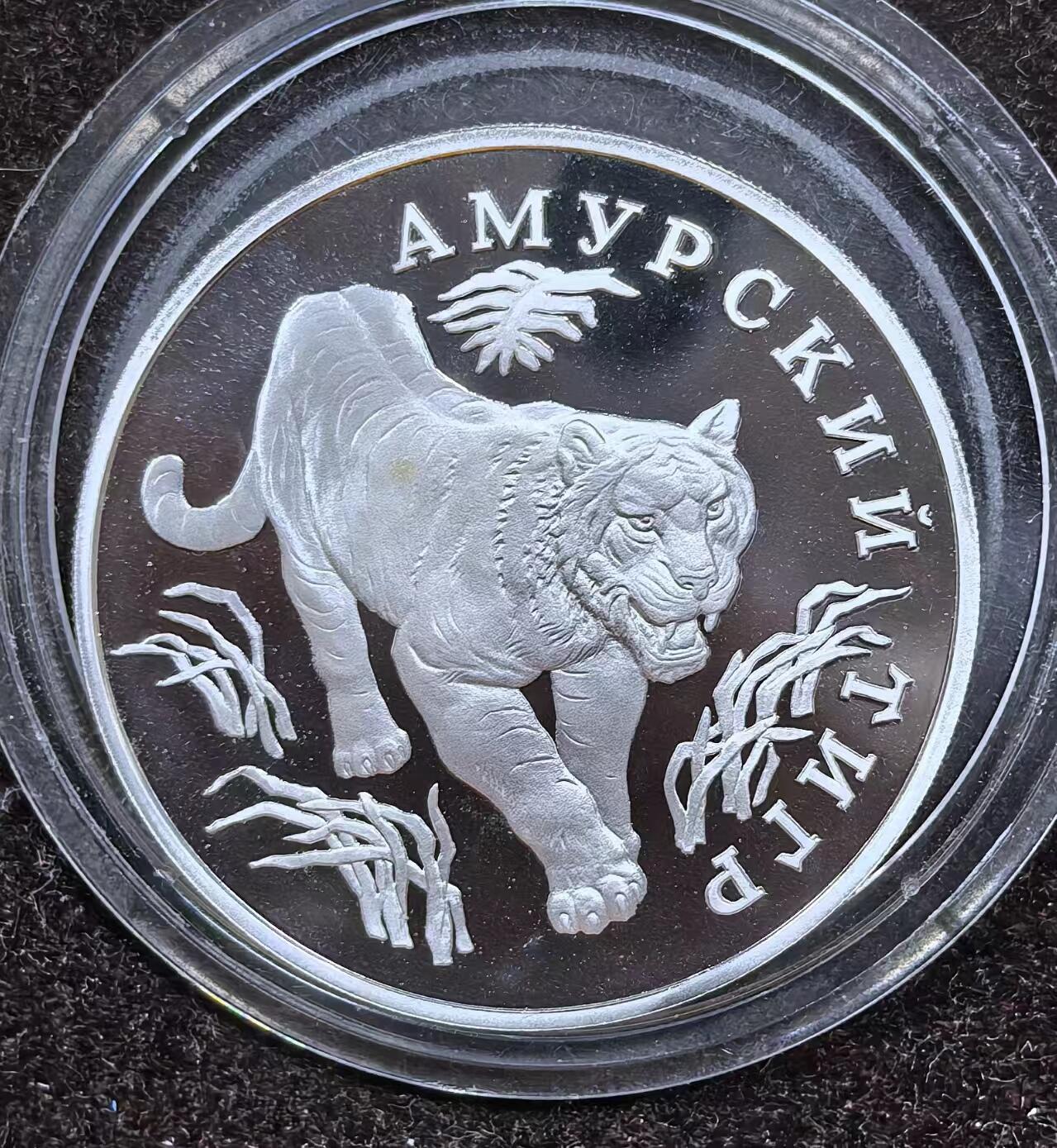 北京马甸外国币专卖微拍第124期，外国金银币专场，陆续上新，欢迎关注 俄罗斯1993年1卢布精制纪念银币 红皮书濒危动物 虎