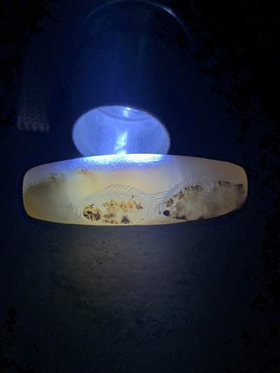 精美高玉化亚光海洋玉髓手工俏色巧雕双鱼桶珠一个！ 精美高玉化亚光海洋玉髓手工俏色巧雕双鱼桶珠一个！